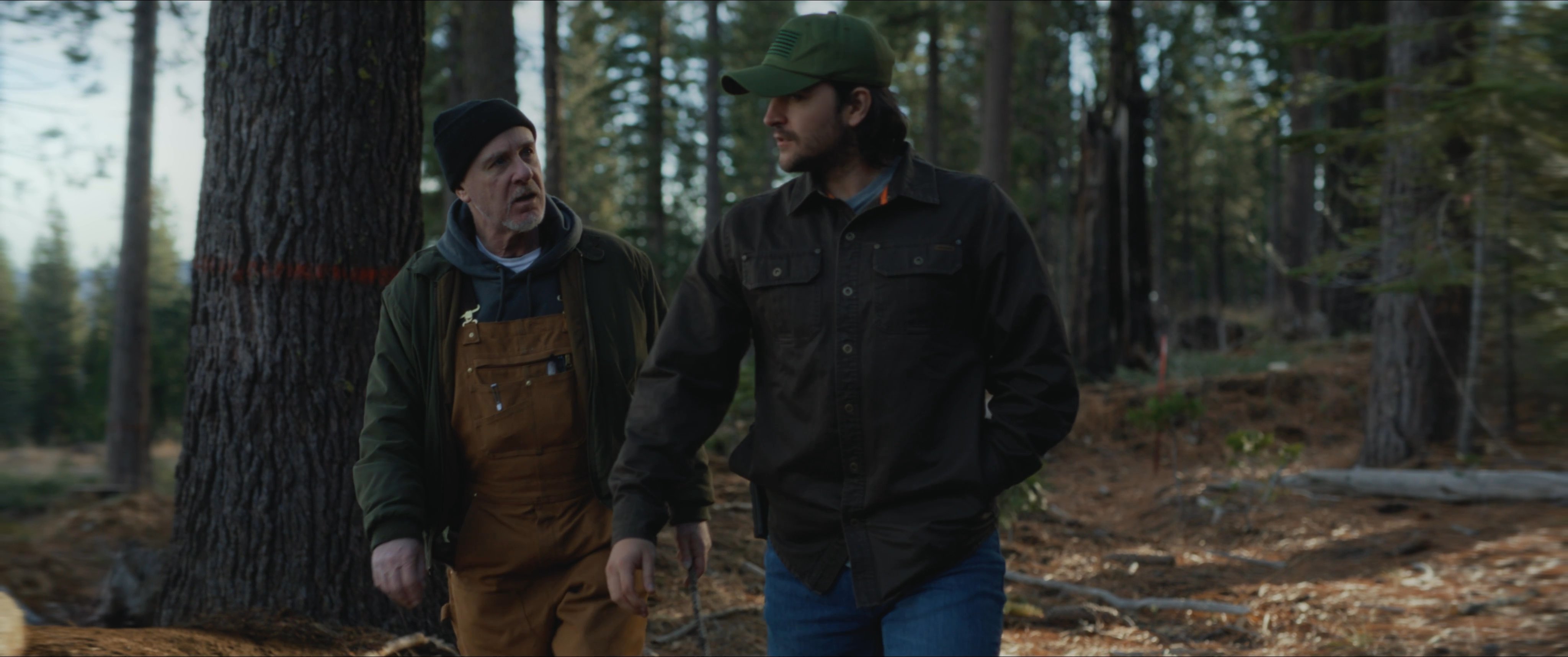 Two men in work attire discuss land management strategies while navigating a forested environment. They communicate while walking through the woodland, conducting an on-site professional assessment.