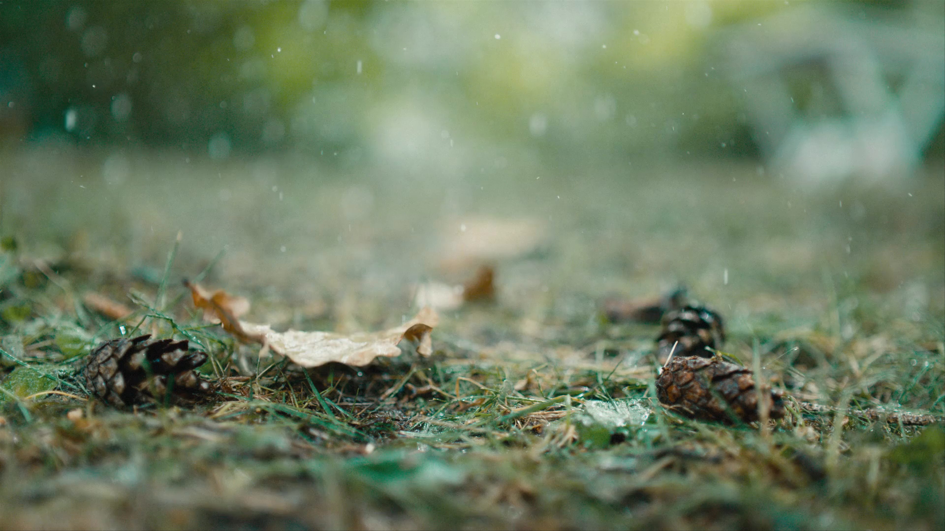 Drone: DJI Inspire 2 providing aerial cinematography for De beste 100 dagene for Bama, demonstrating High-speed tracking capabilities and cinematic aerial storytelling.