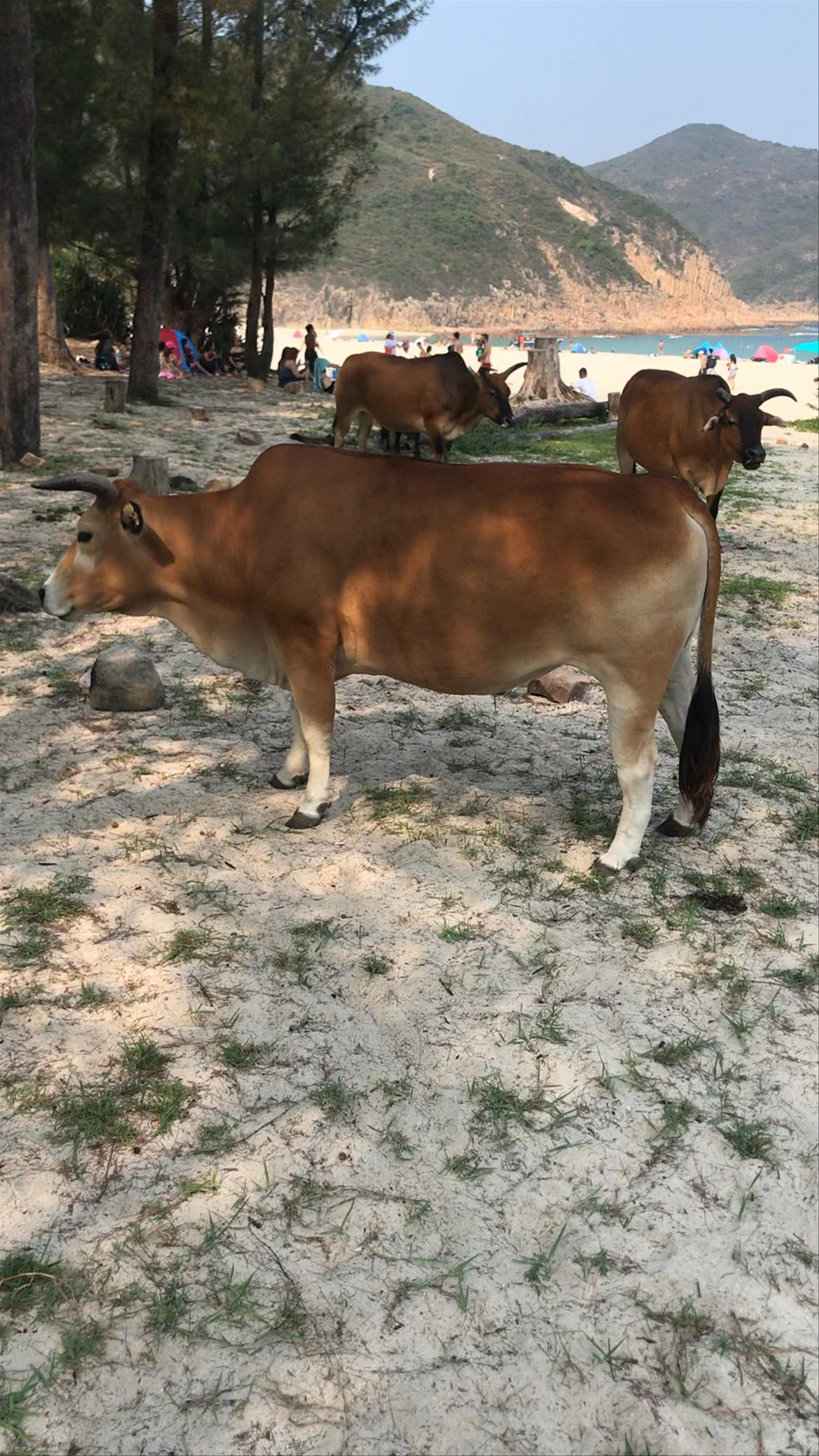 Long Ke Wan Campsite