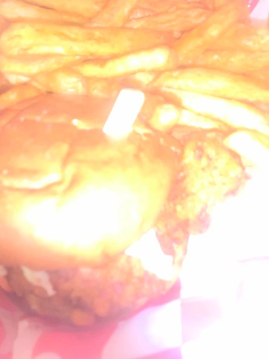 Flaming Kuma - Original Nashville Sandwich and fries - Hot Dogs Near Me - West Lafayette, Indiana