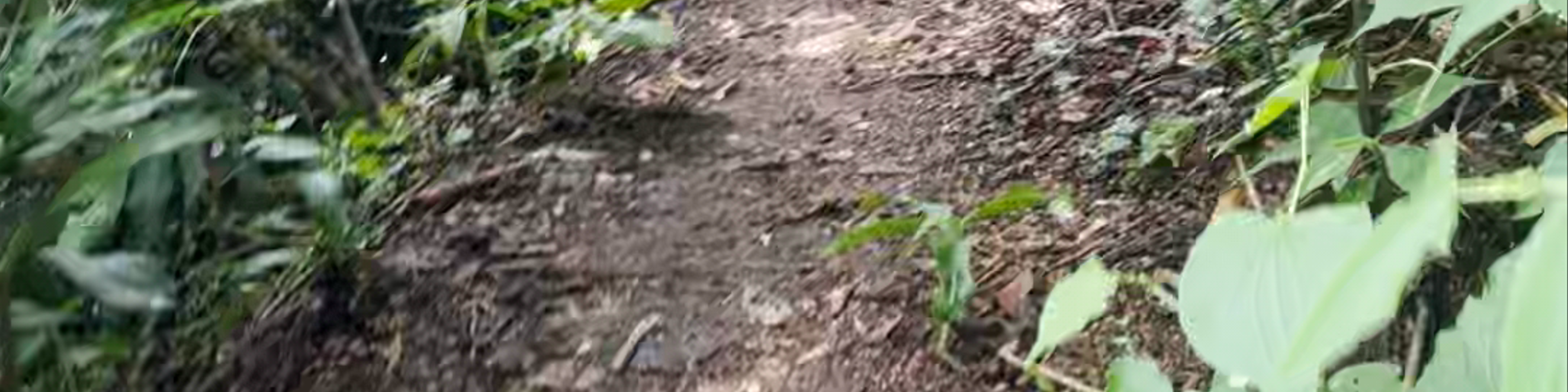 El Salvador