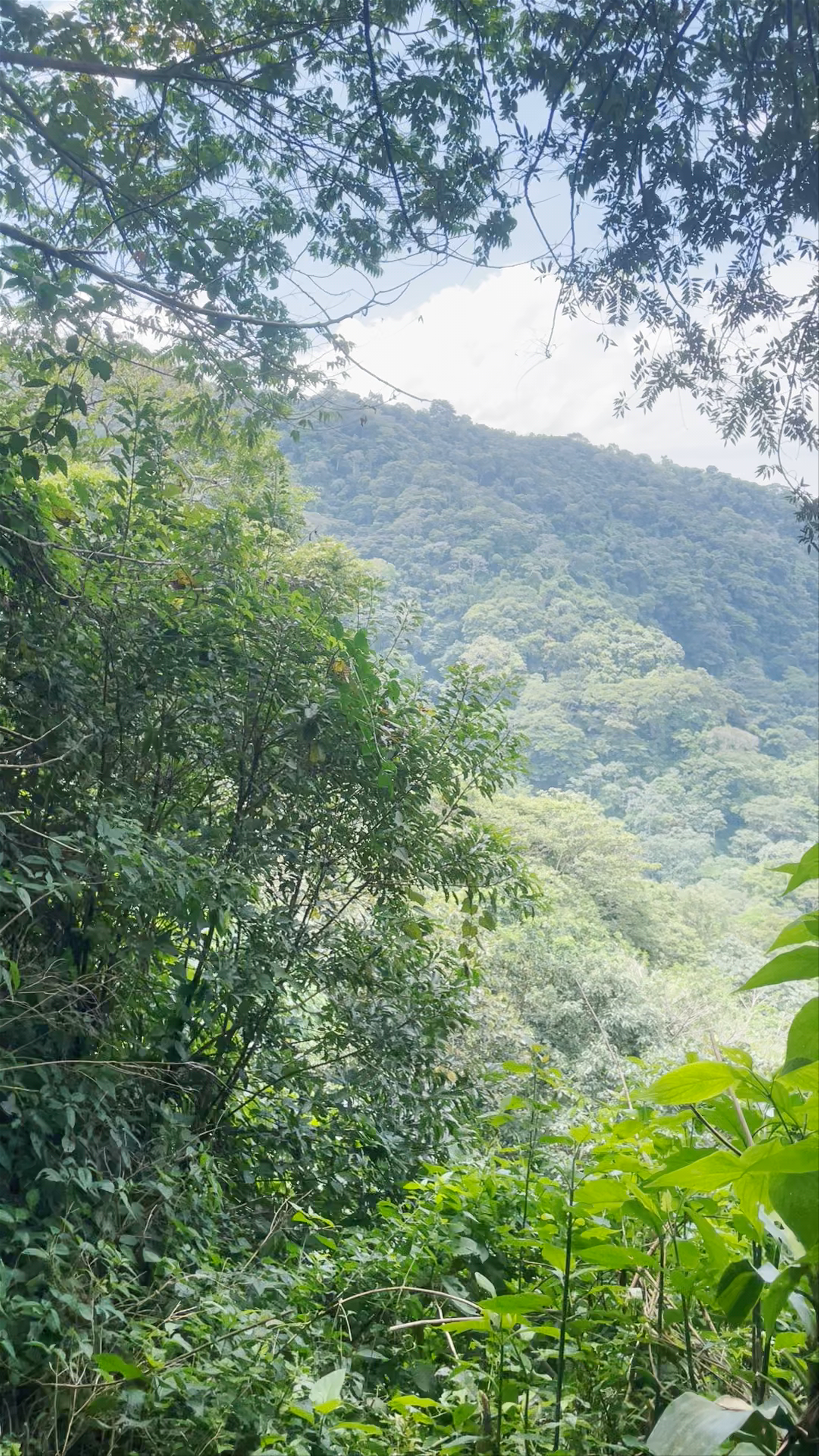 Trail to Lime Kiln Waterfalls