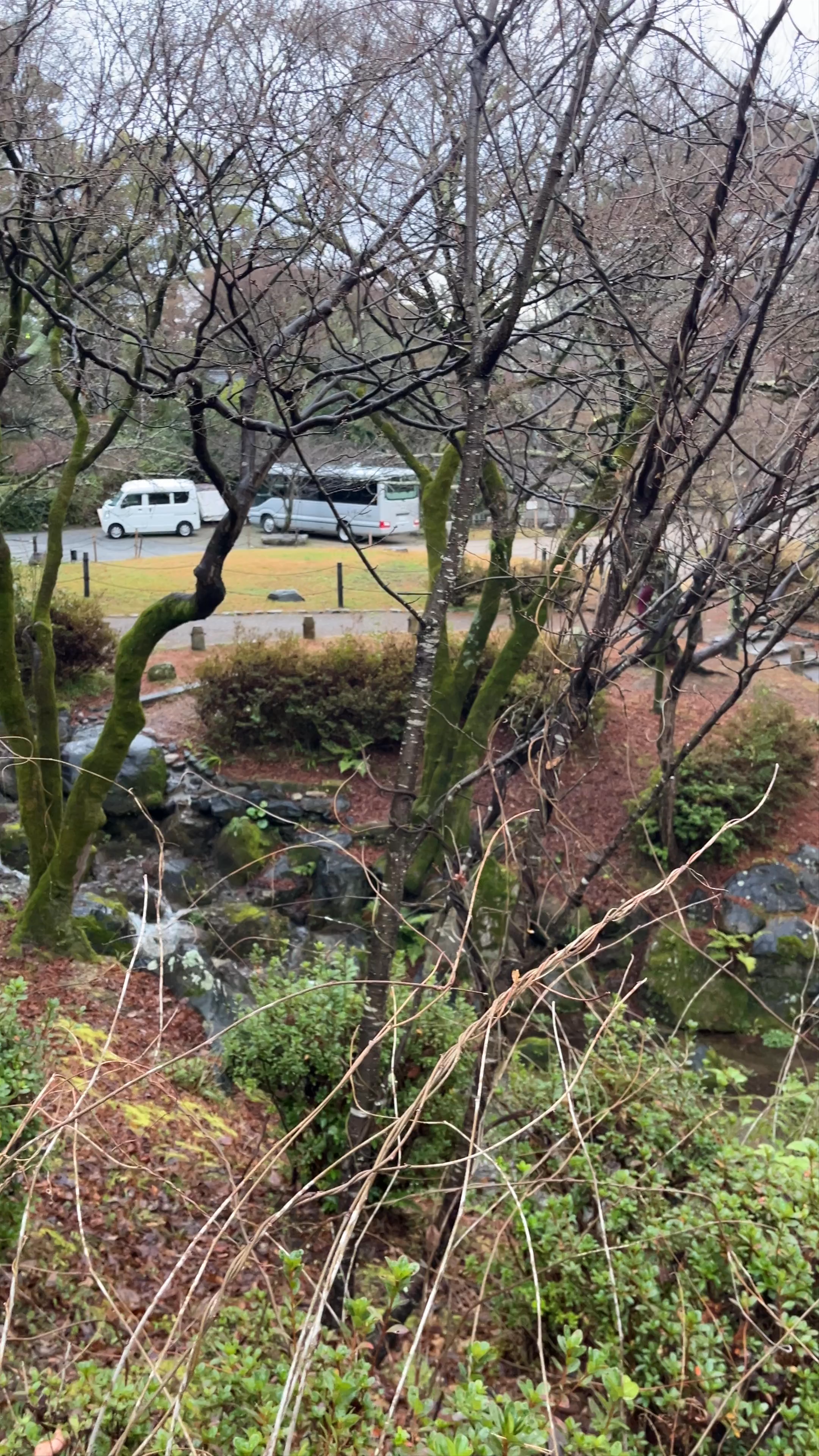 Maruyama Park Japanese Gardens
