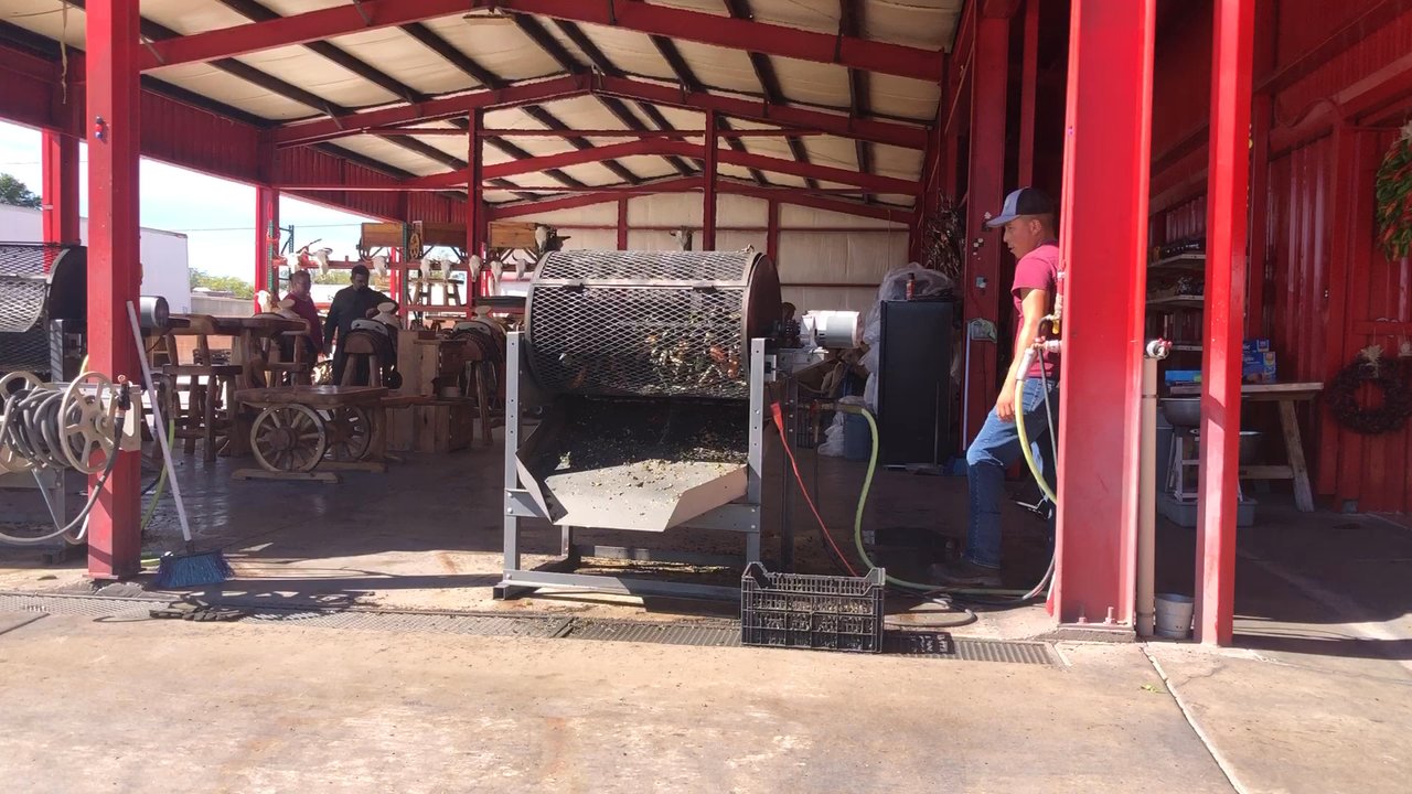 Grajeda Hatch Chile Market - Roasting chilis - Specialty Food Near Me - Hatch, New Mexico