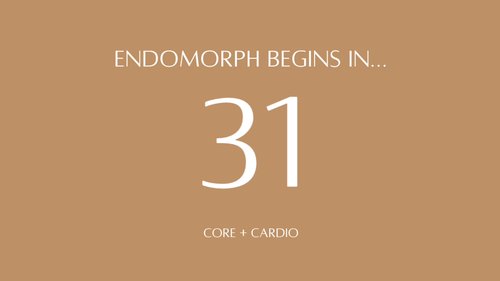 Endomorph: Core + Cardio {29 Minutes}