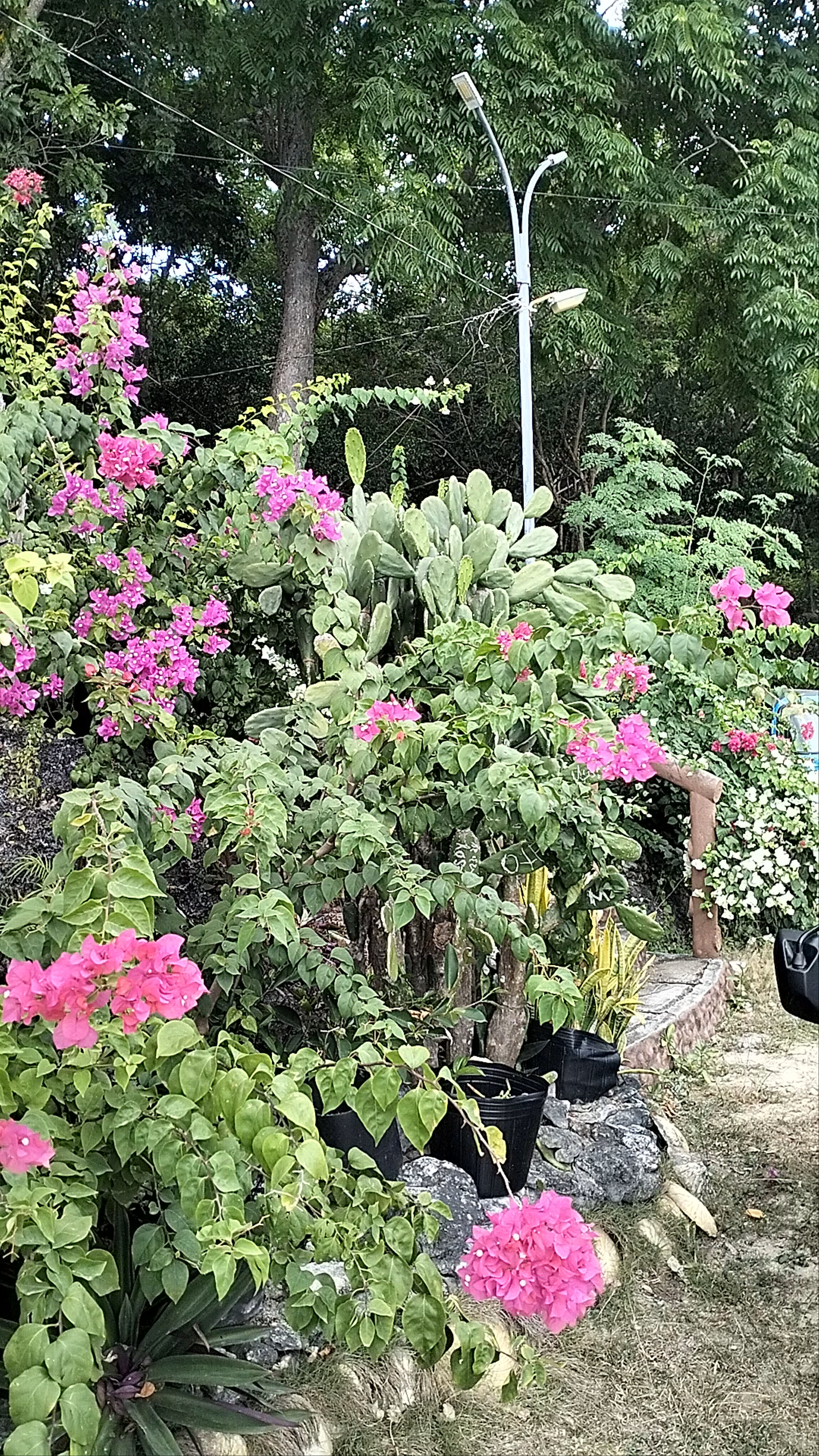 Salagdoong Beach Resort