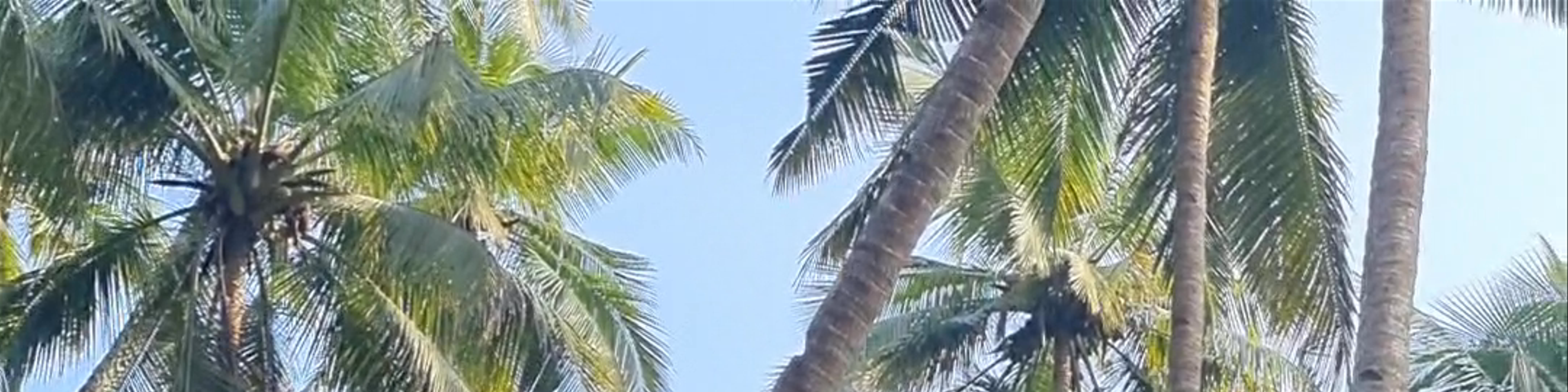 Goa