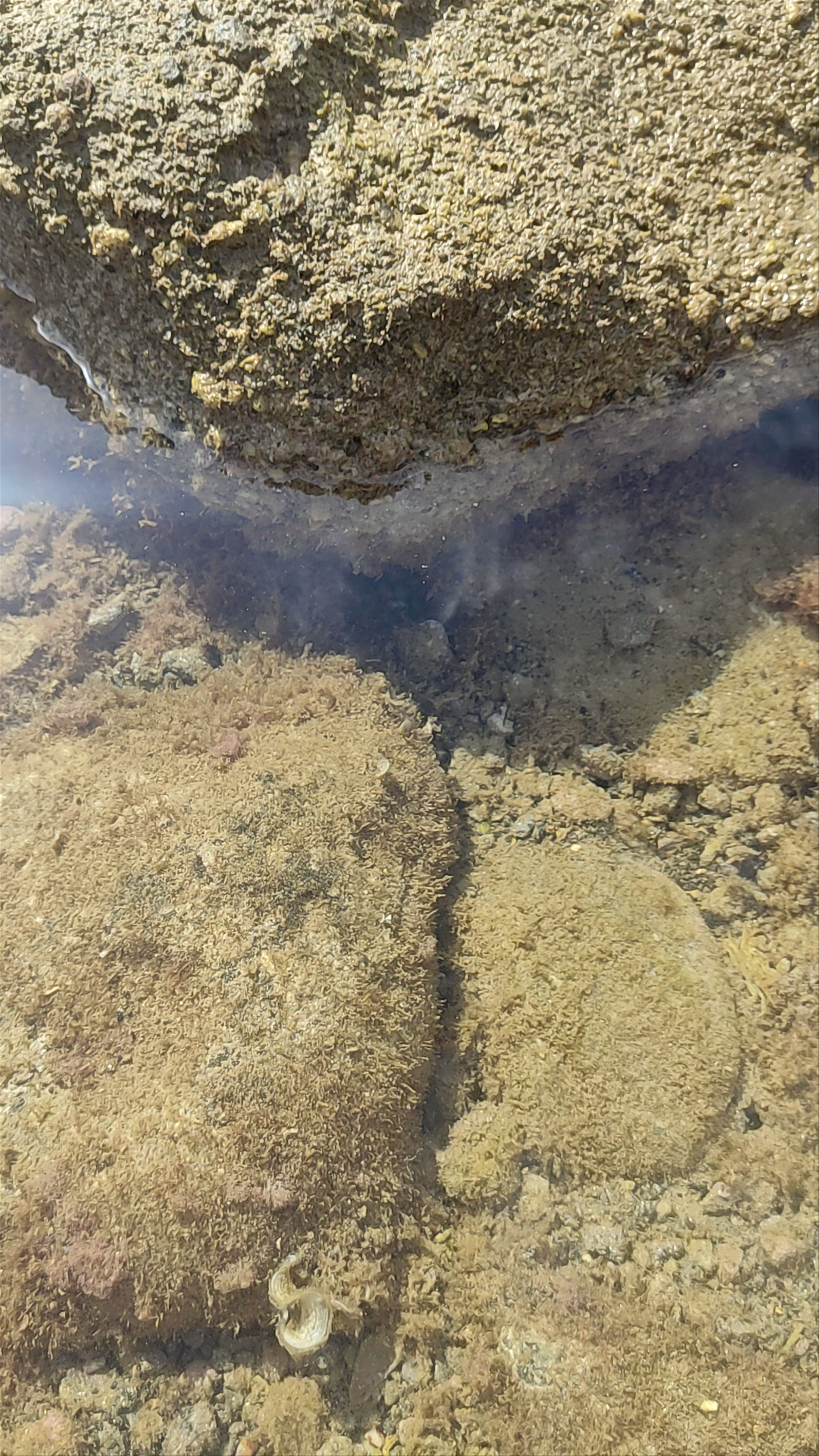 Tidal Pools and Rock Formations at Playa de los Cocedores, Spain
