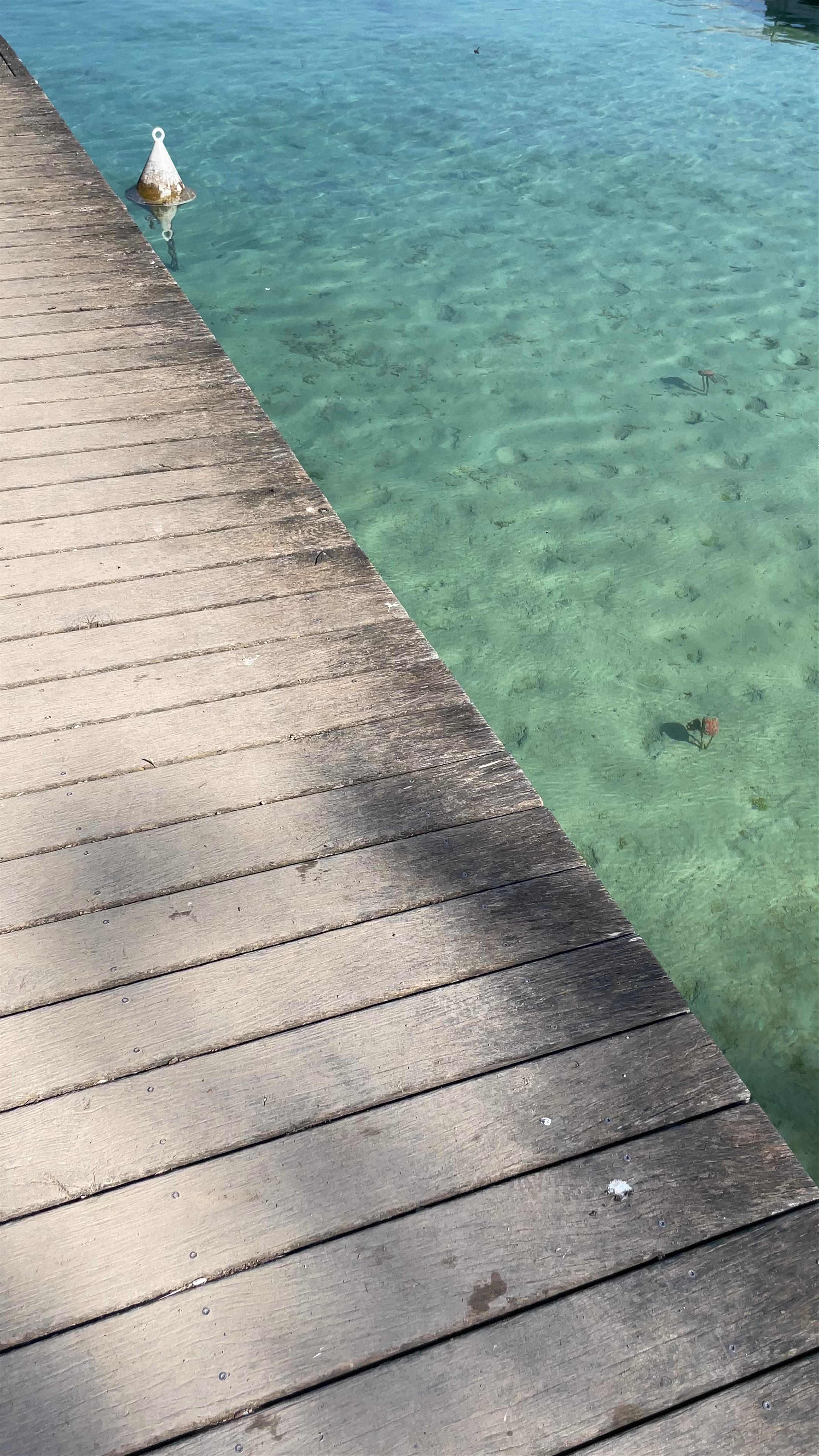 Lake Annecy