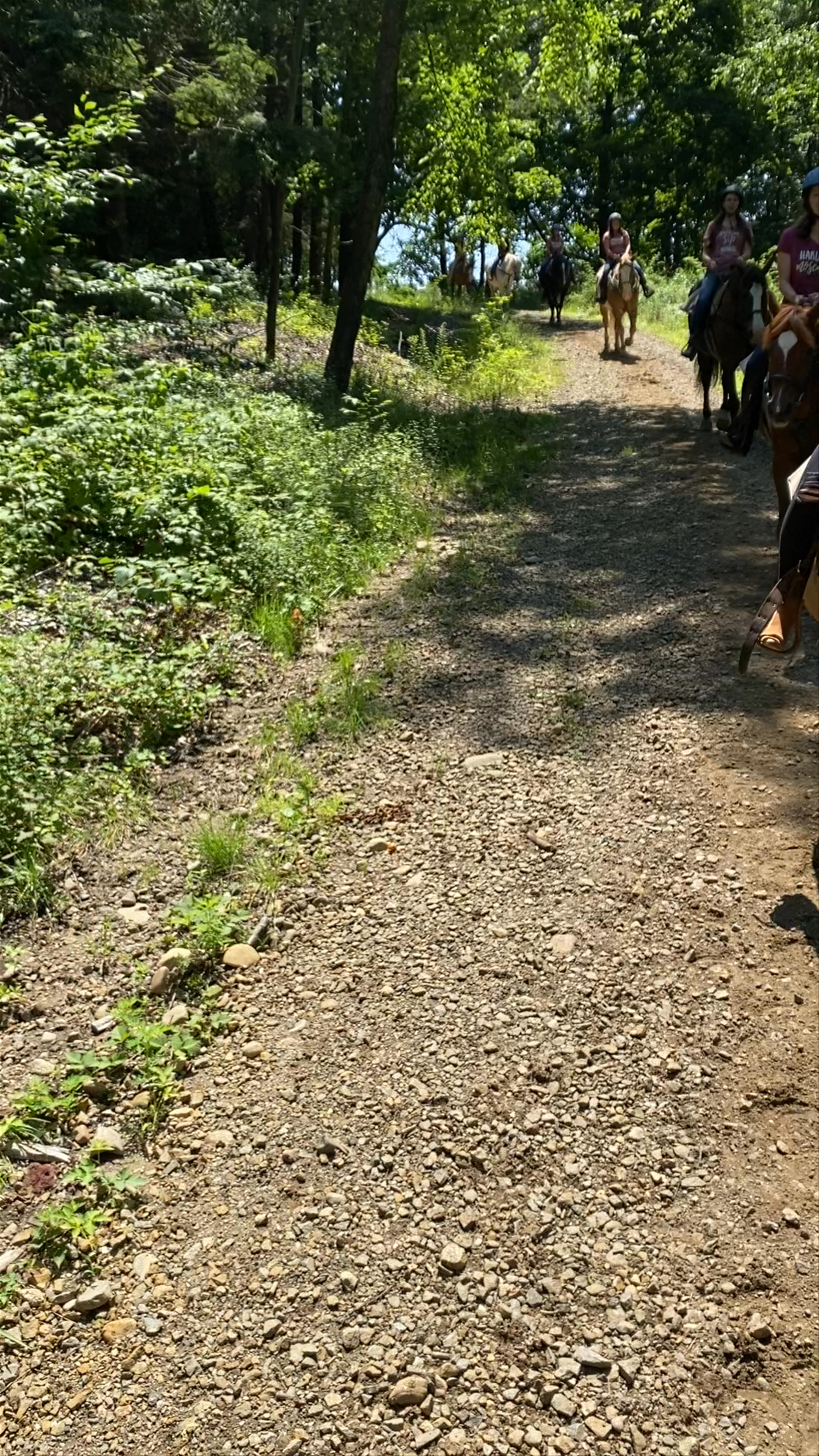 Lee's Riding Stable Inc