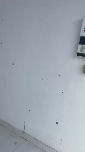 img-2