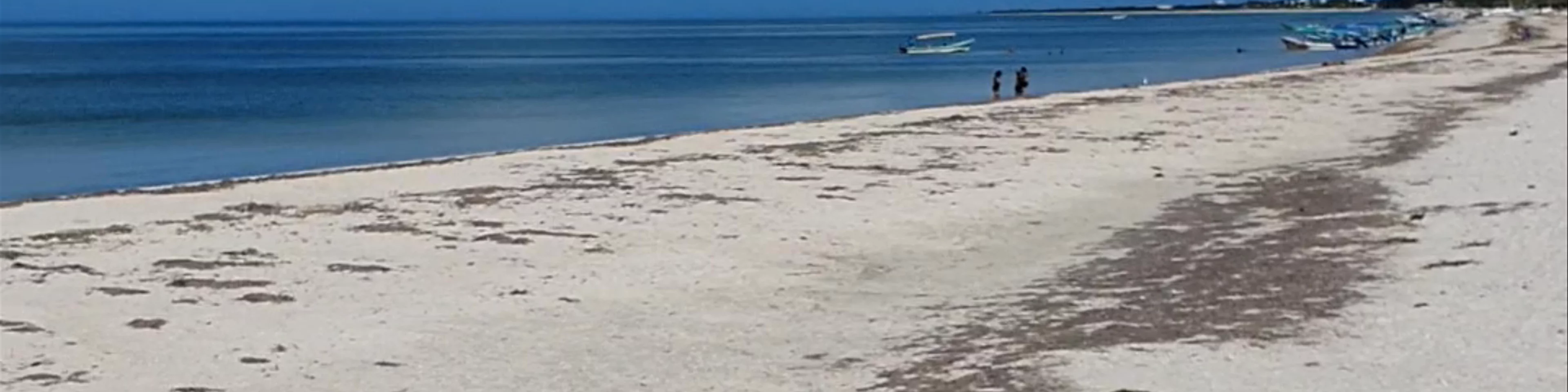 Playa Sur Celestún