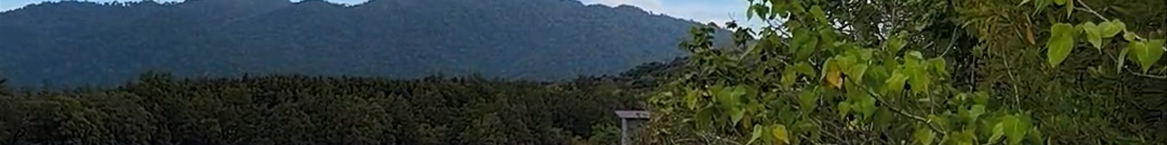 Tours & experiences in Ayer Hangat