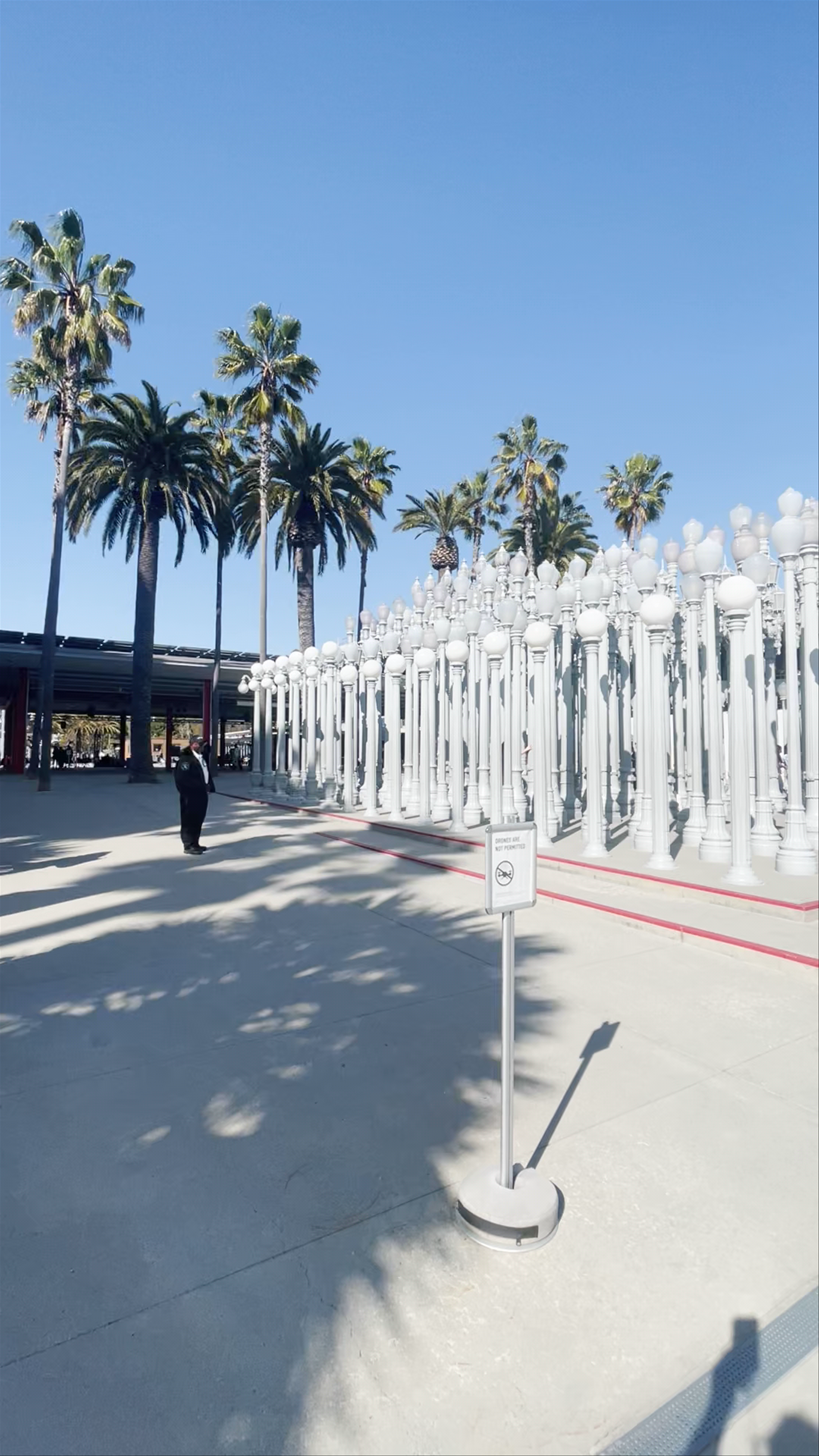 LACMA Urban Art Experience on Wilshire Boulevard