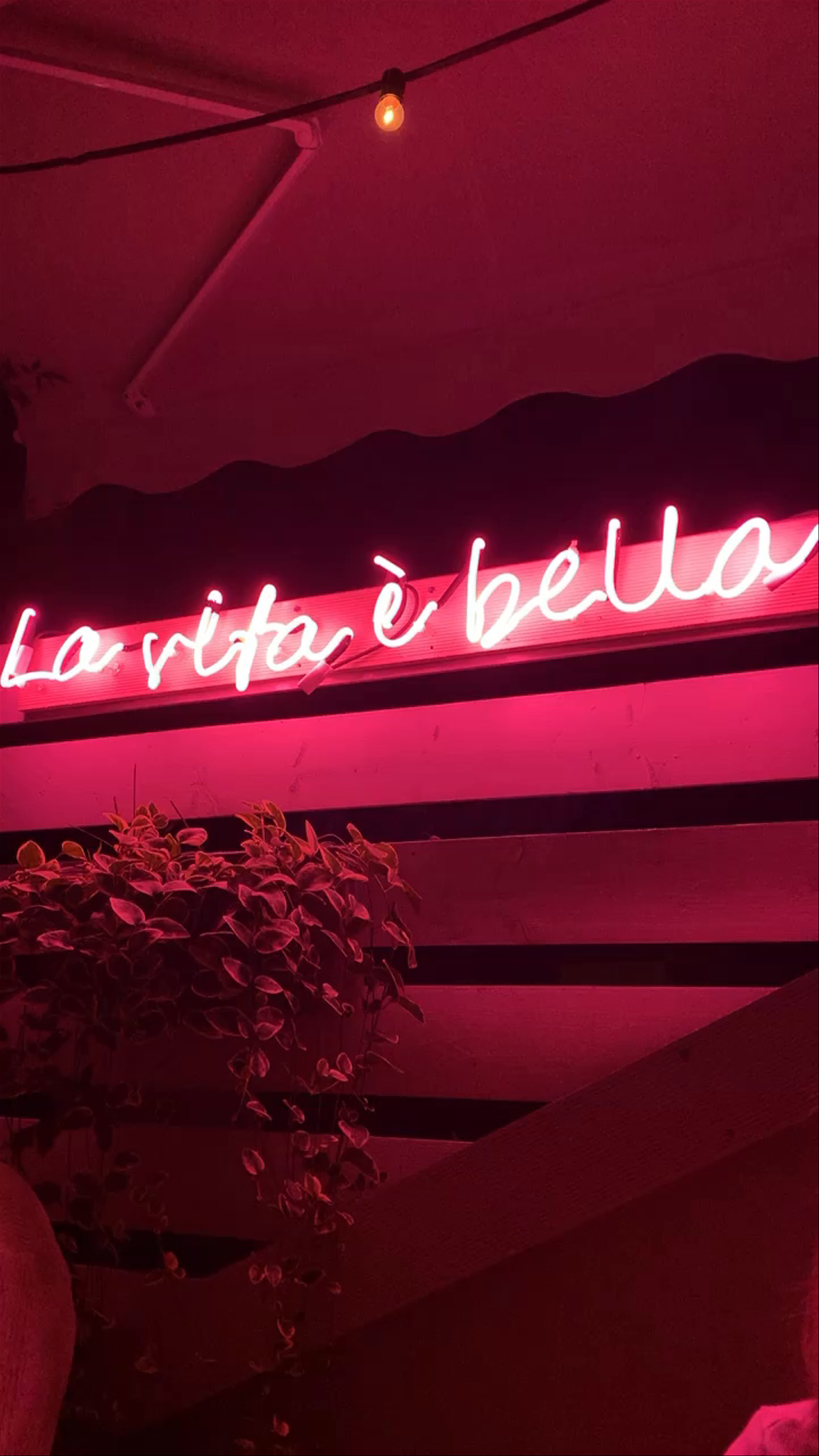 La vita è bella: Night Vibes and Cocktails in Veria