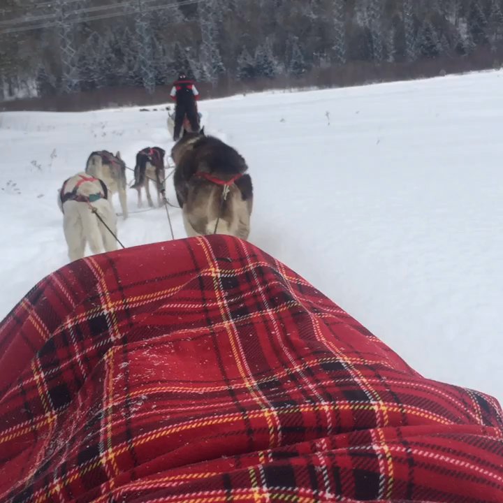 Alaskan Adventure - Sledding Near Me - Arundel, Quebec