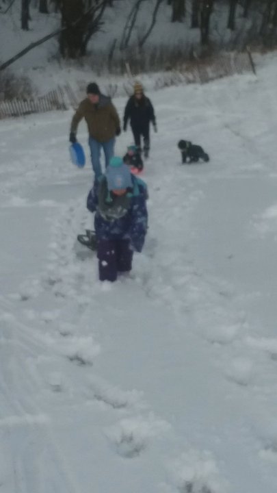 Schiller Woods - Going back up the hill. - Parks Near Me - Chicago, Illinois