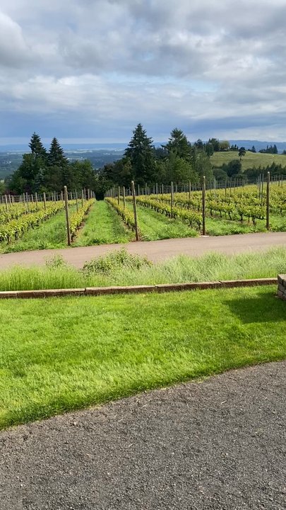White Rose Estate - Thanks for the Carmel M&Ms Dago and Neal! - Wine Tasting Room Near Me - Dayton, Oregon