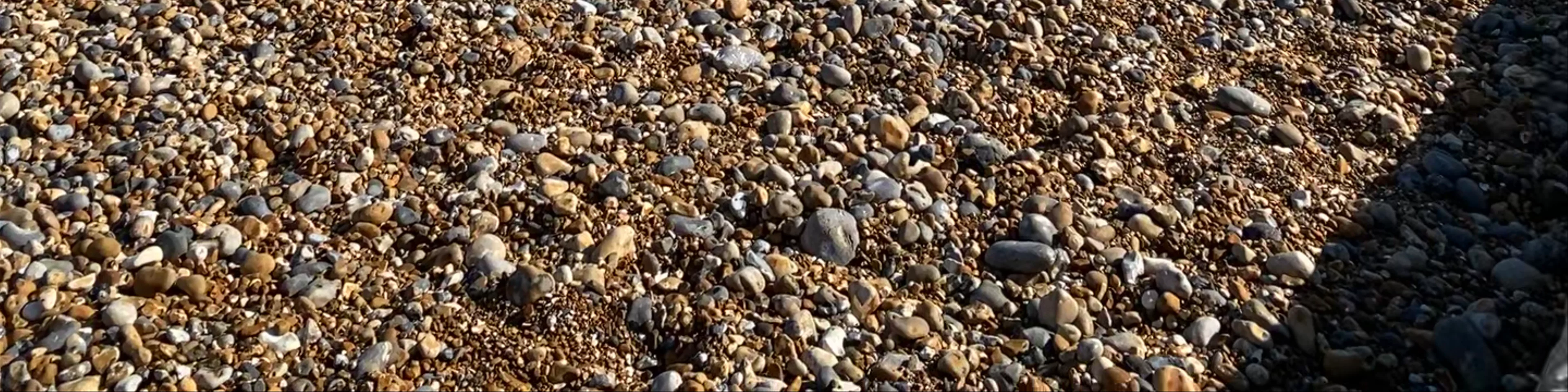 Brighton seafront