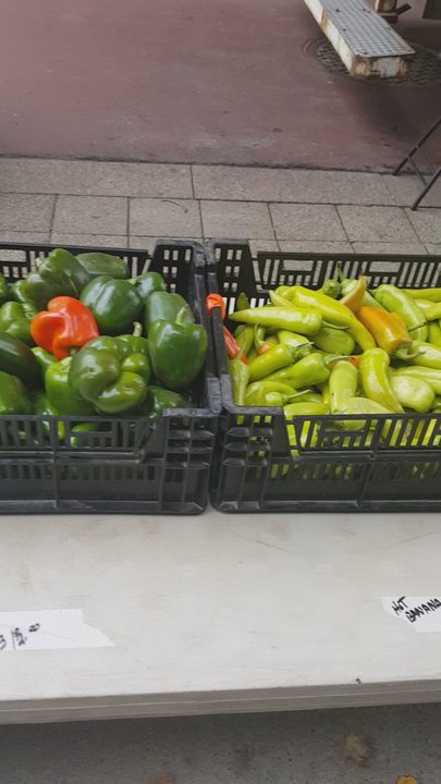 KD Tree Service Buffalo NY - Downtown Buffalo has a garden center you can buy all fresh vegetables - Tree Services Near Me - Buffalo, New York