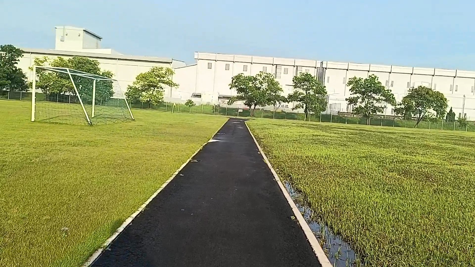 Strava Walk Activity