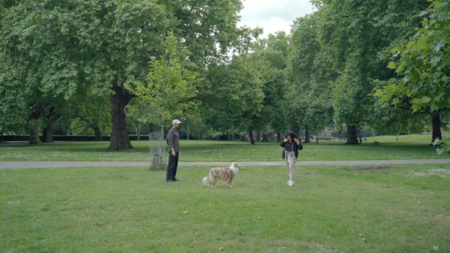 Couple walking with a dog in the park