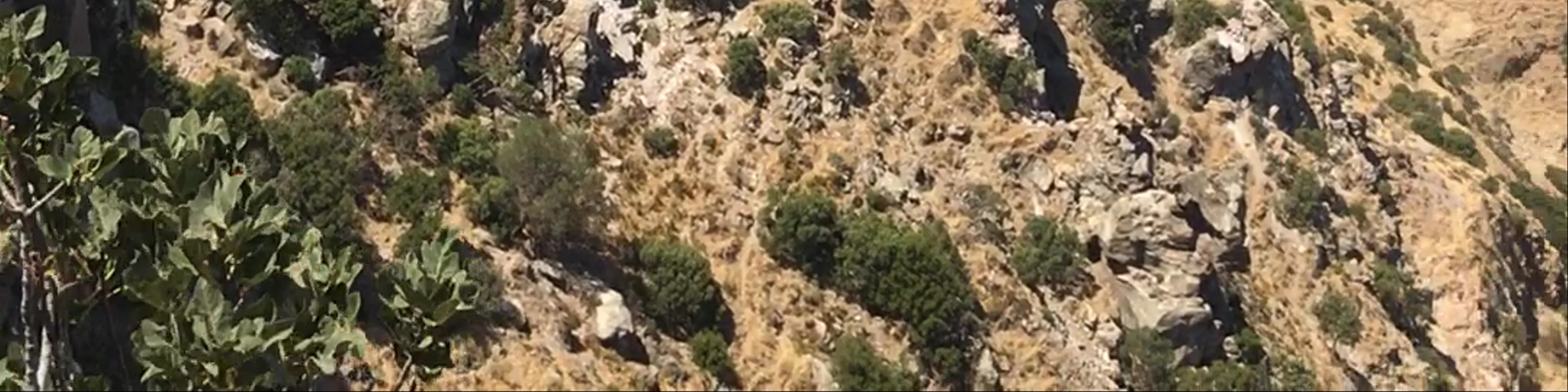 Νίσυρος