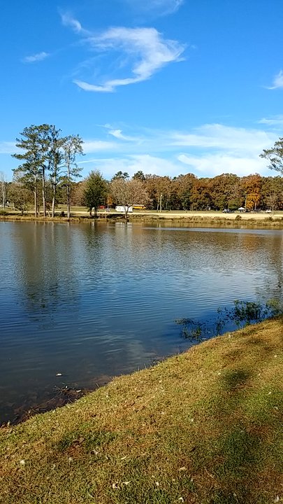 Shamrock Park - A view of the whole lake - Parks Near Me - Tyrone, Georgia