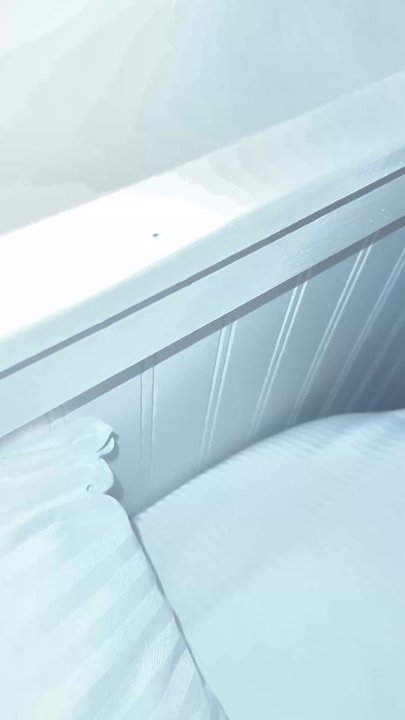 Paradise Bay Resort - Video of the bed bugs that they claim were nats on the headboard - Hotels Near Me - Kaneohe, Hawaii