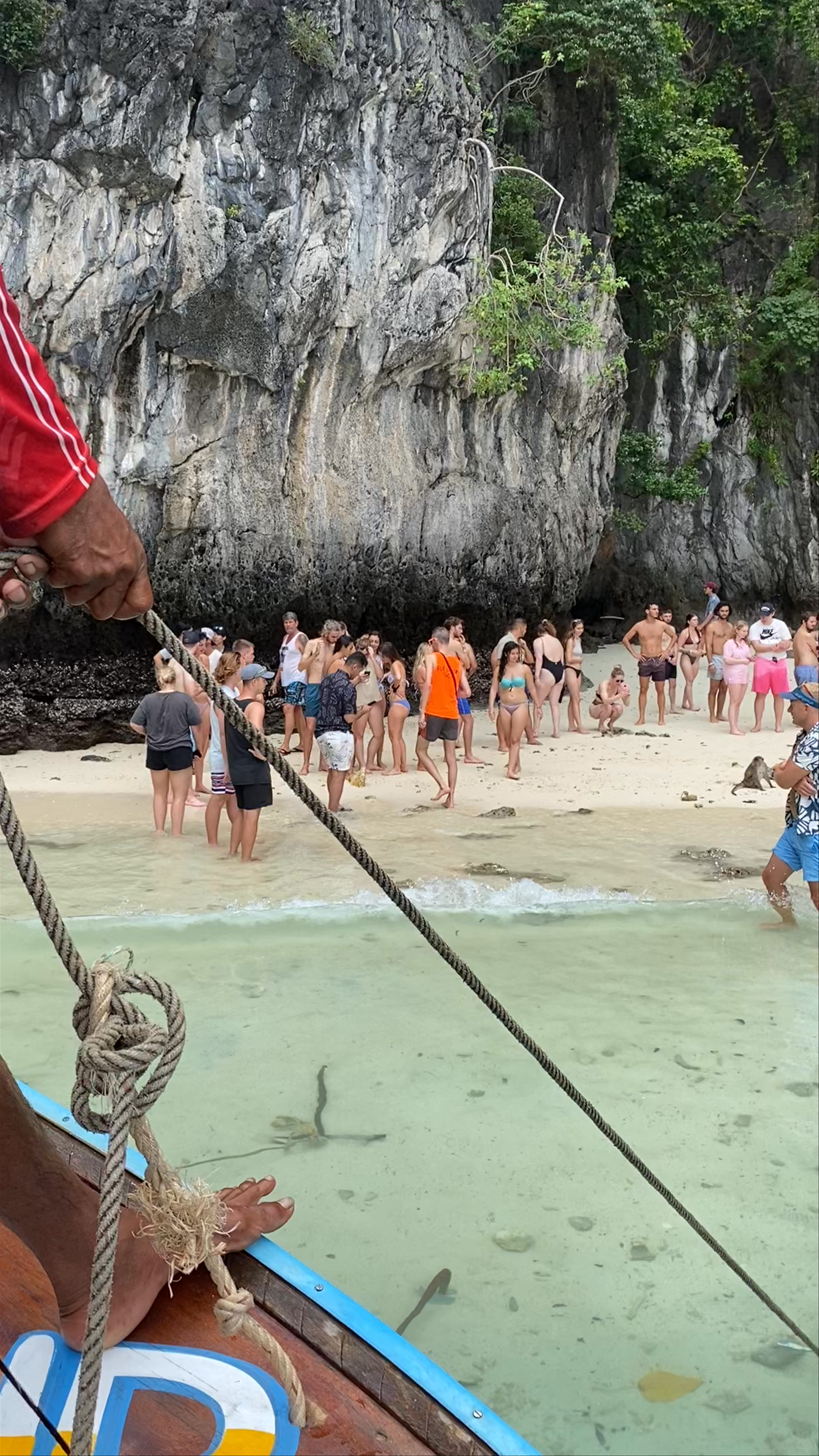 Monkey Bay