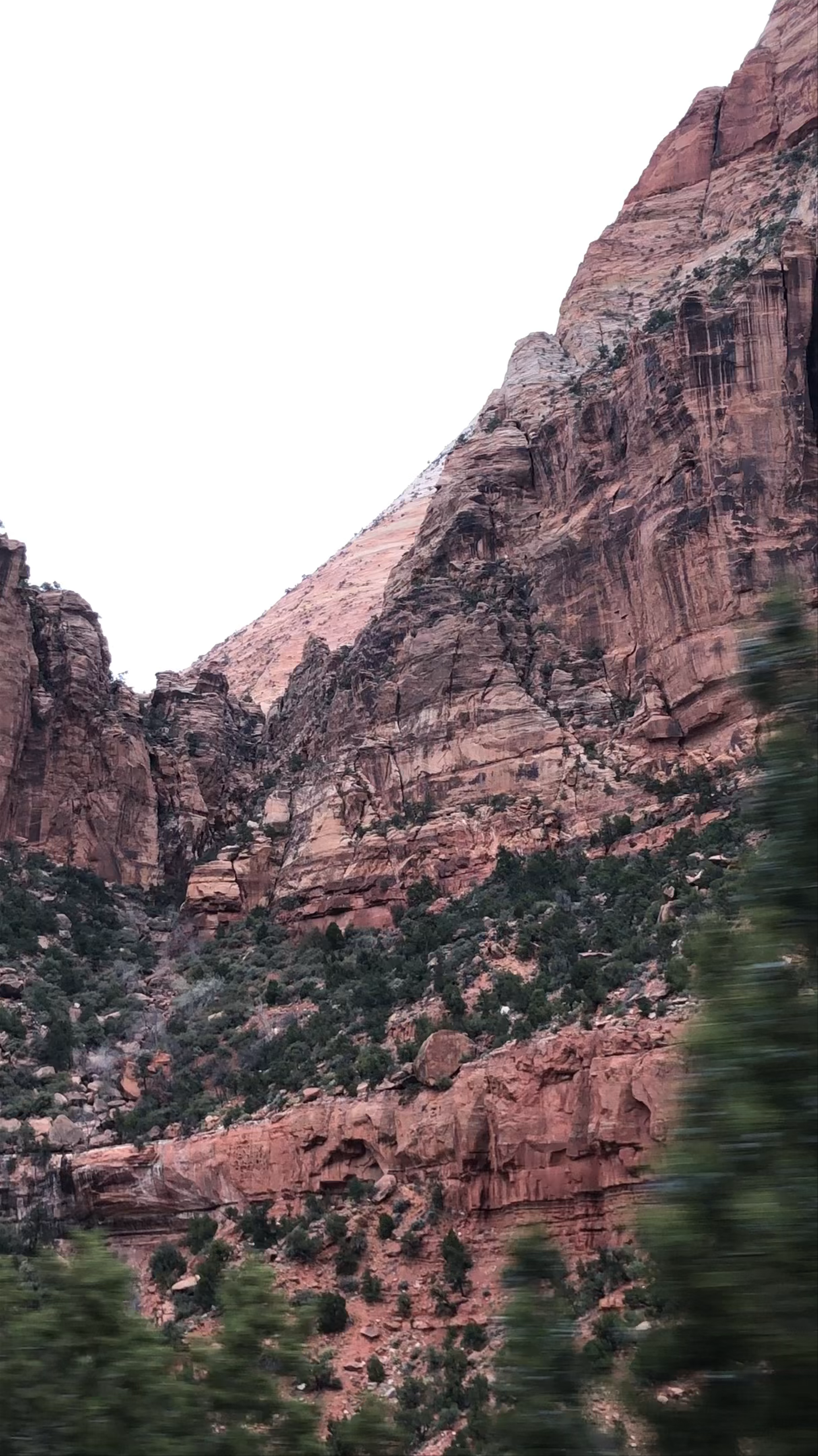 Zion National Park