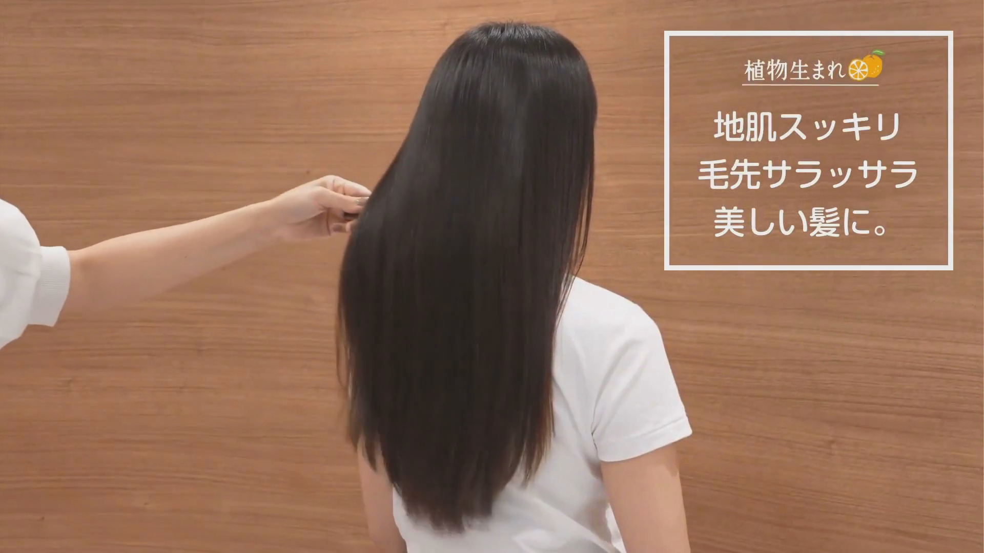 植物生まれ オレンジ ヘアケア｜地肌ケア｜シャンプー・トリートメント