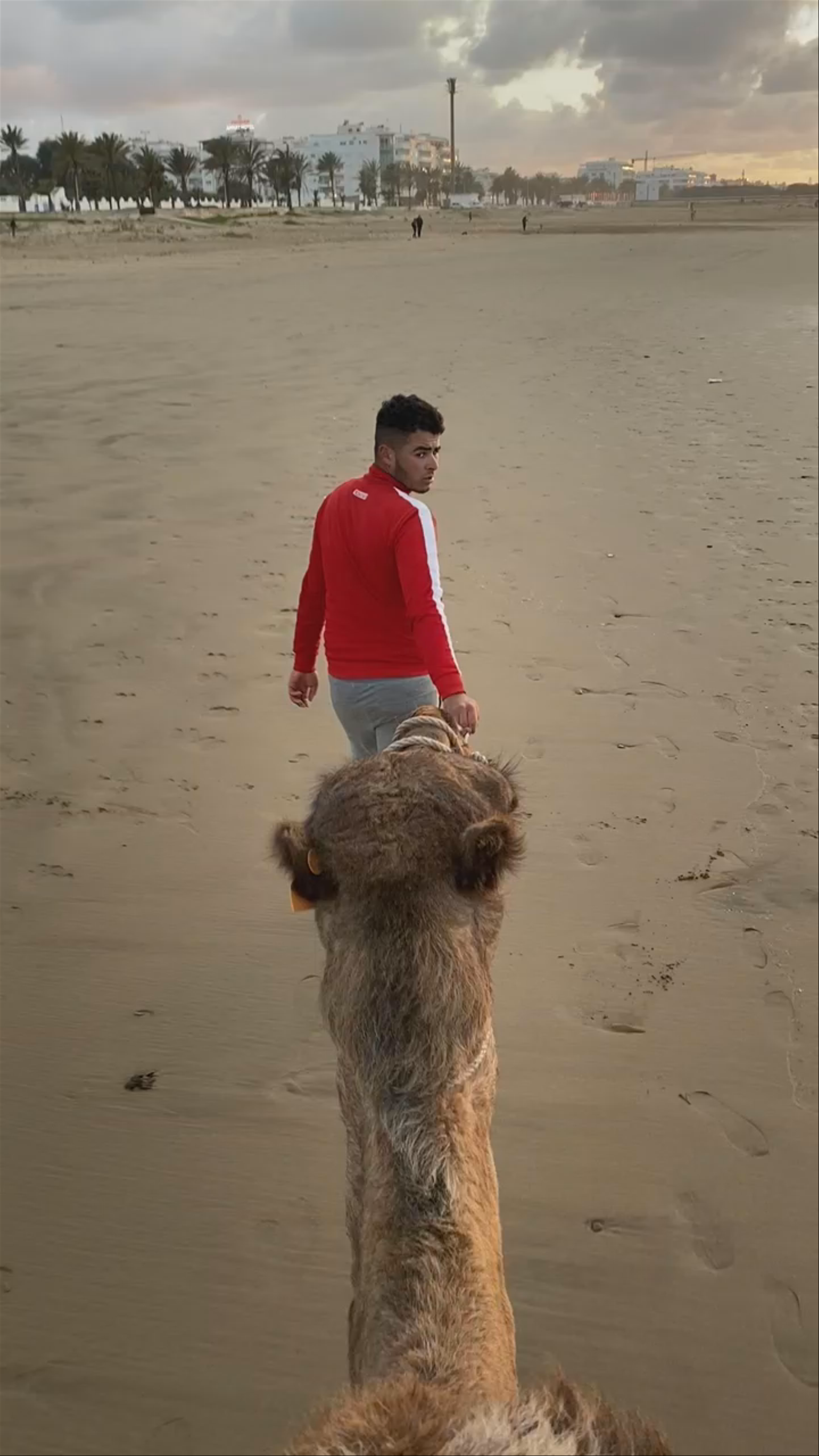 Asilah and Tangier Sightseeing Tour & Camel ride