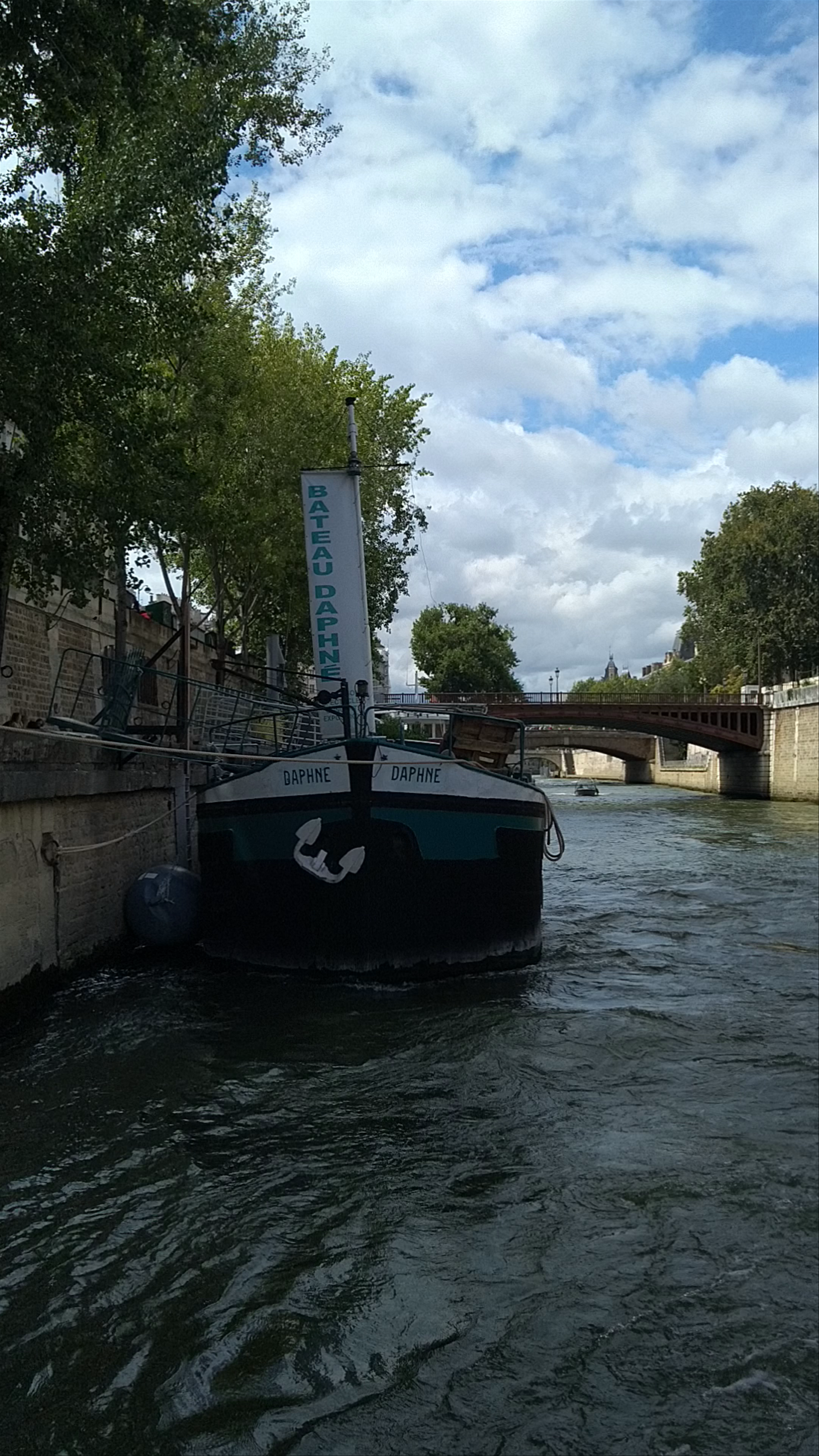 Batobus - Notre-Dame station