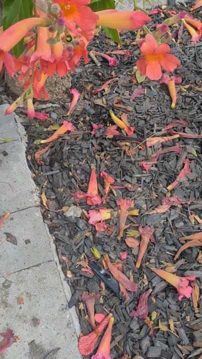 Back In Shape Landscape - The irrigation system failing within a week. - Landscaping Near Me