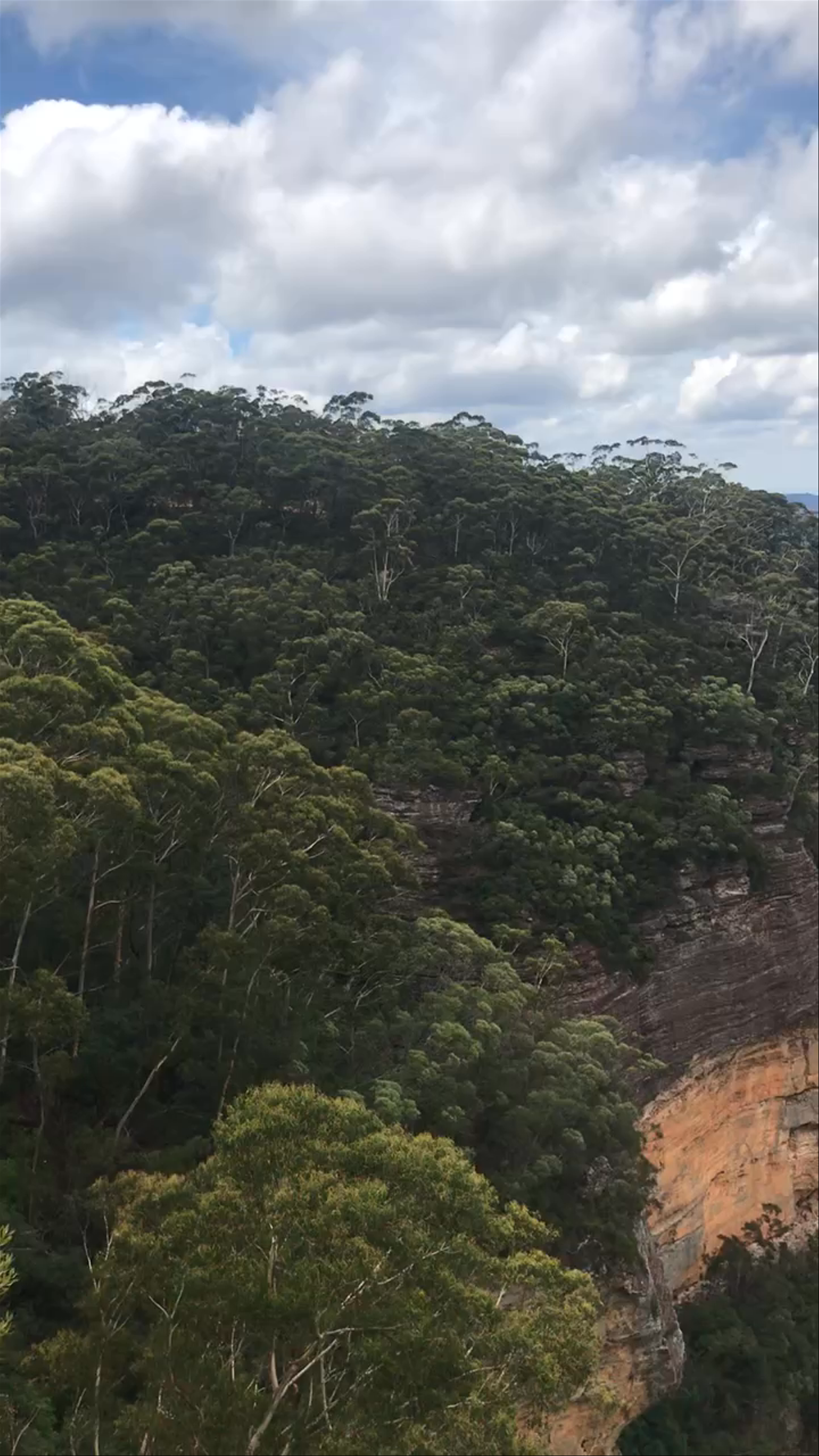 Blue Mountains: Majestic Wilderness in New South Wales