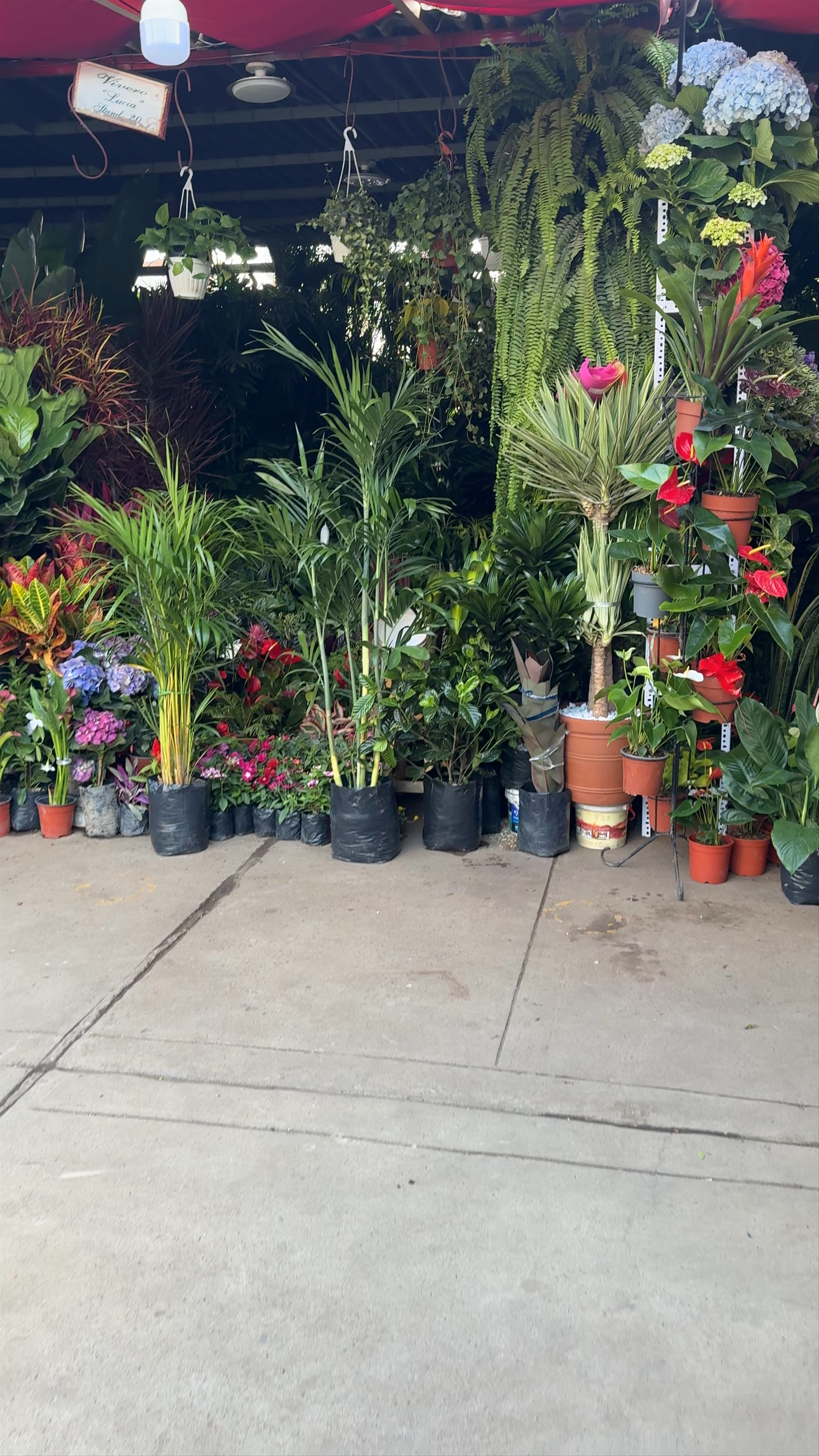 Plaza de Flores: Bursting with Life and Color in Barranco, Peru