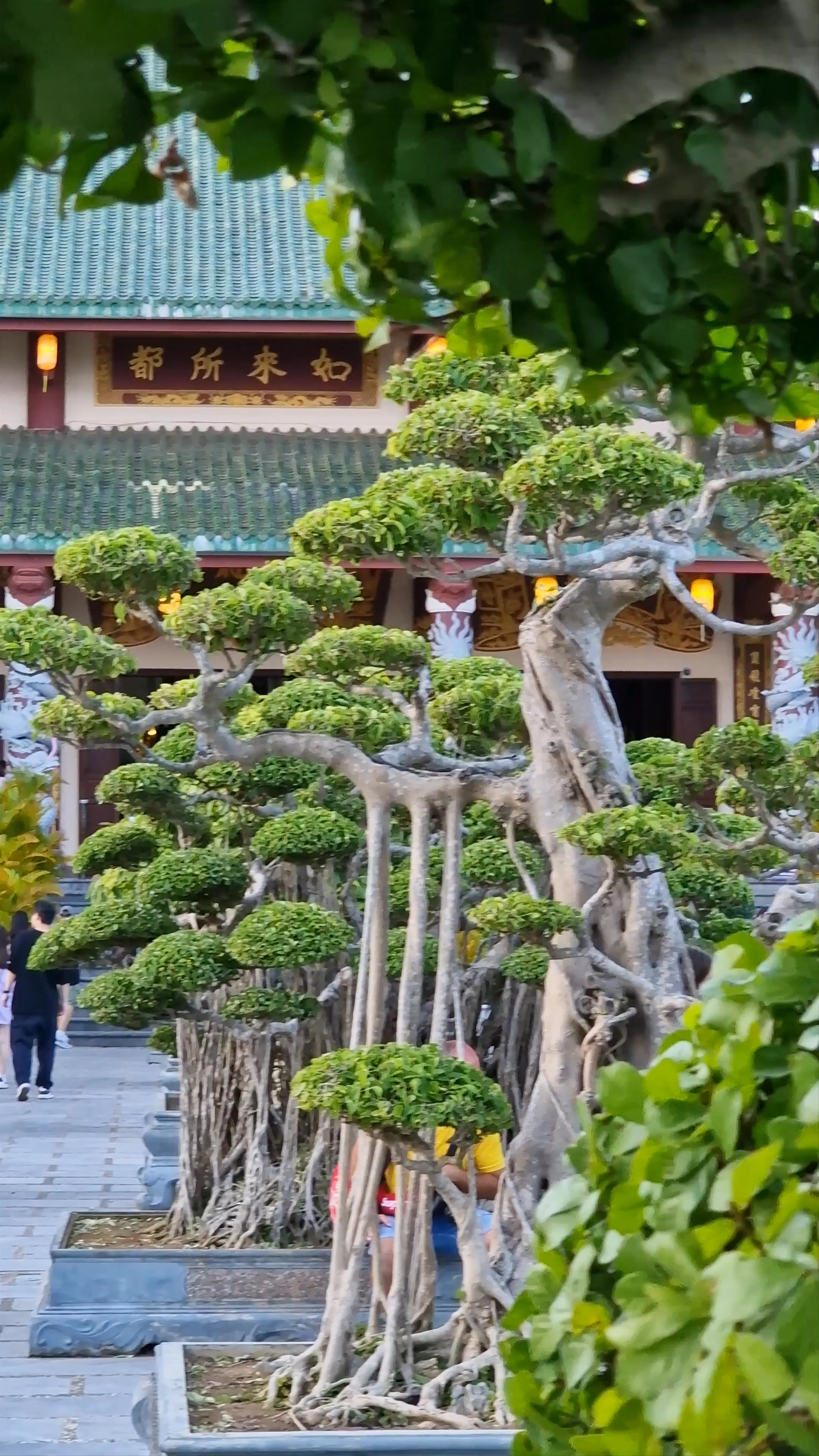 Lady Buddha, Vườn Lâm Tỳ Ni