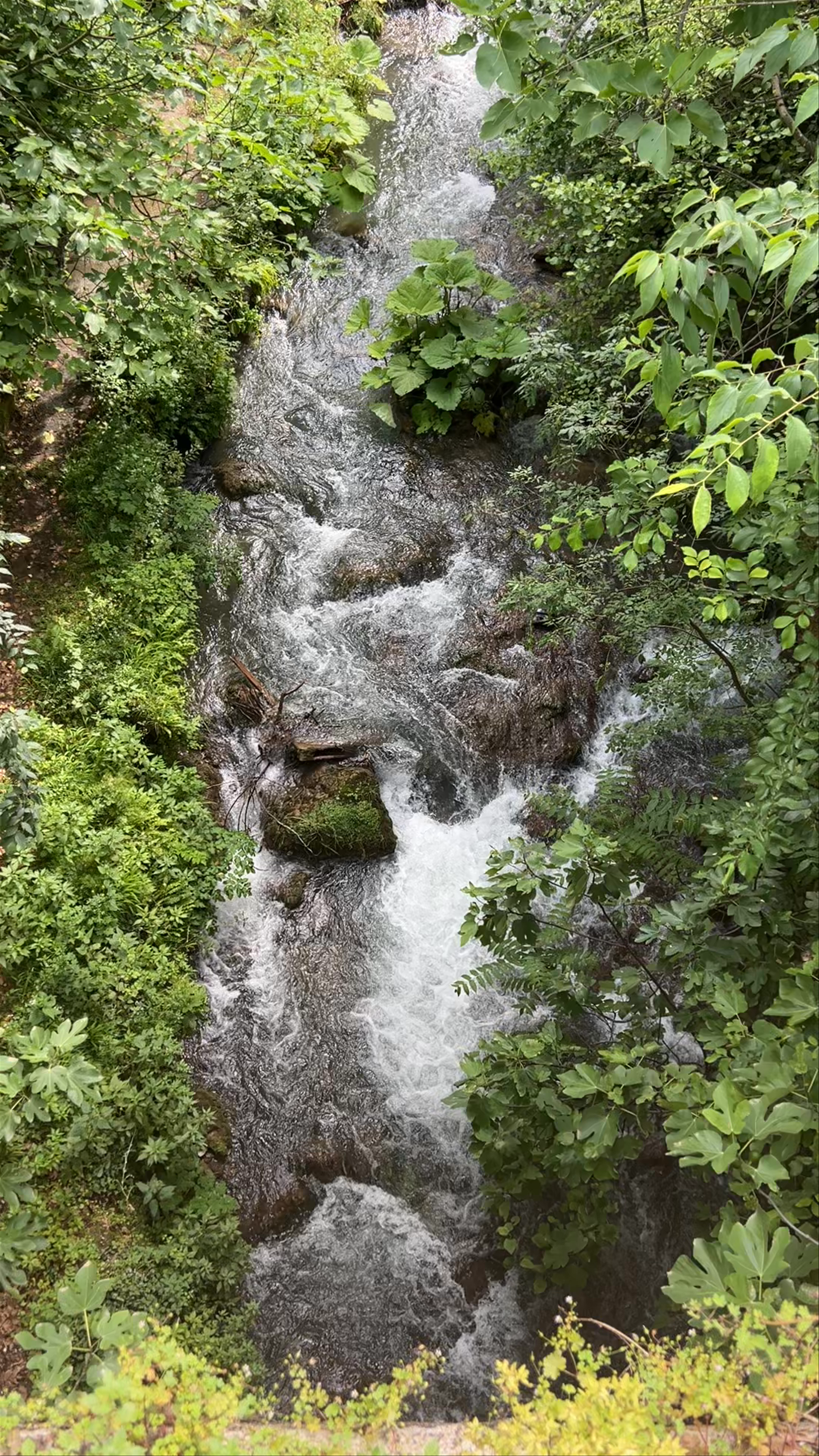 Lush Stream Flowing Through Park Barboutas, Veria Greece