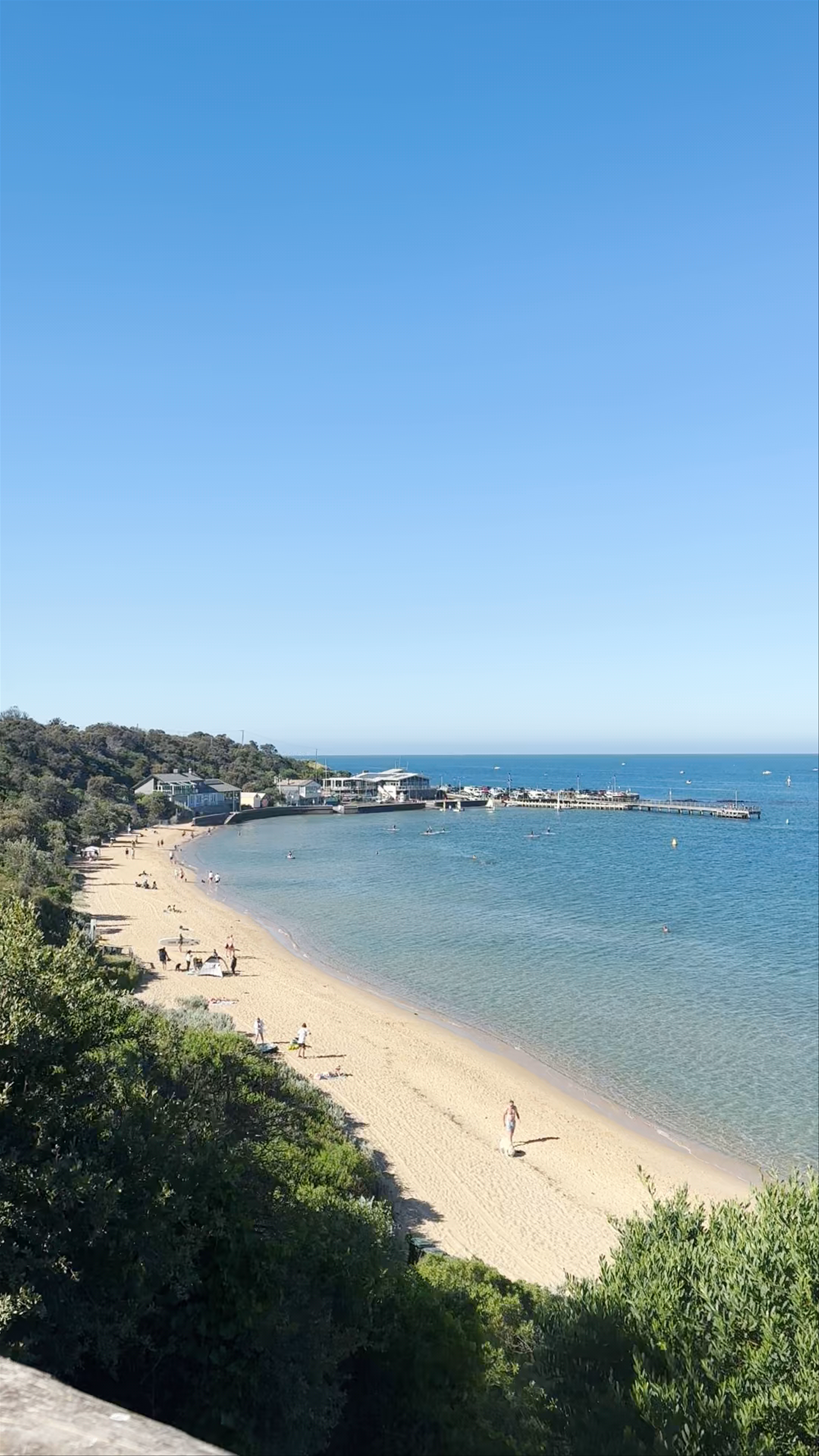 Sandringham Beach