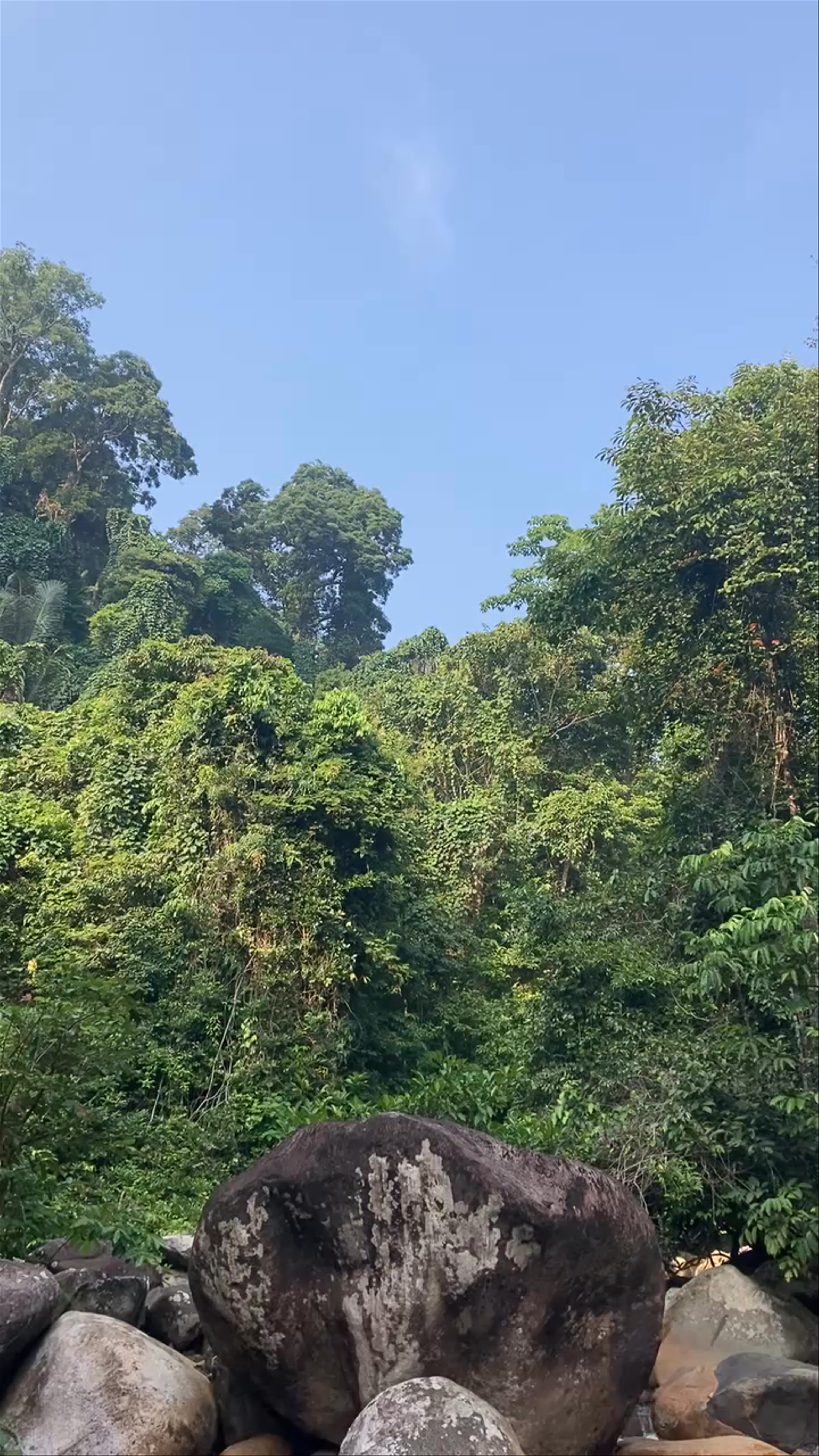 Lubuk Teja Waterfall: Hidden Jungle Gem on Tioman Island