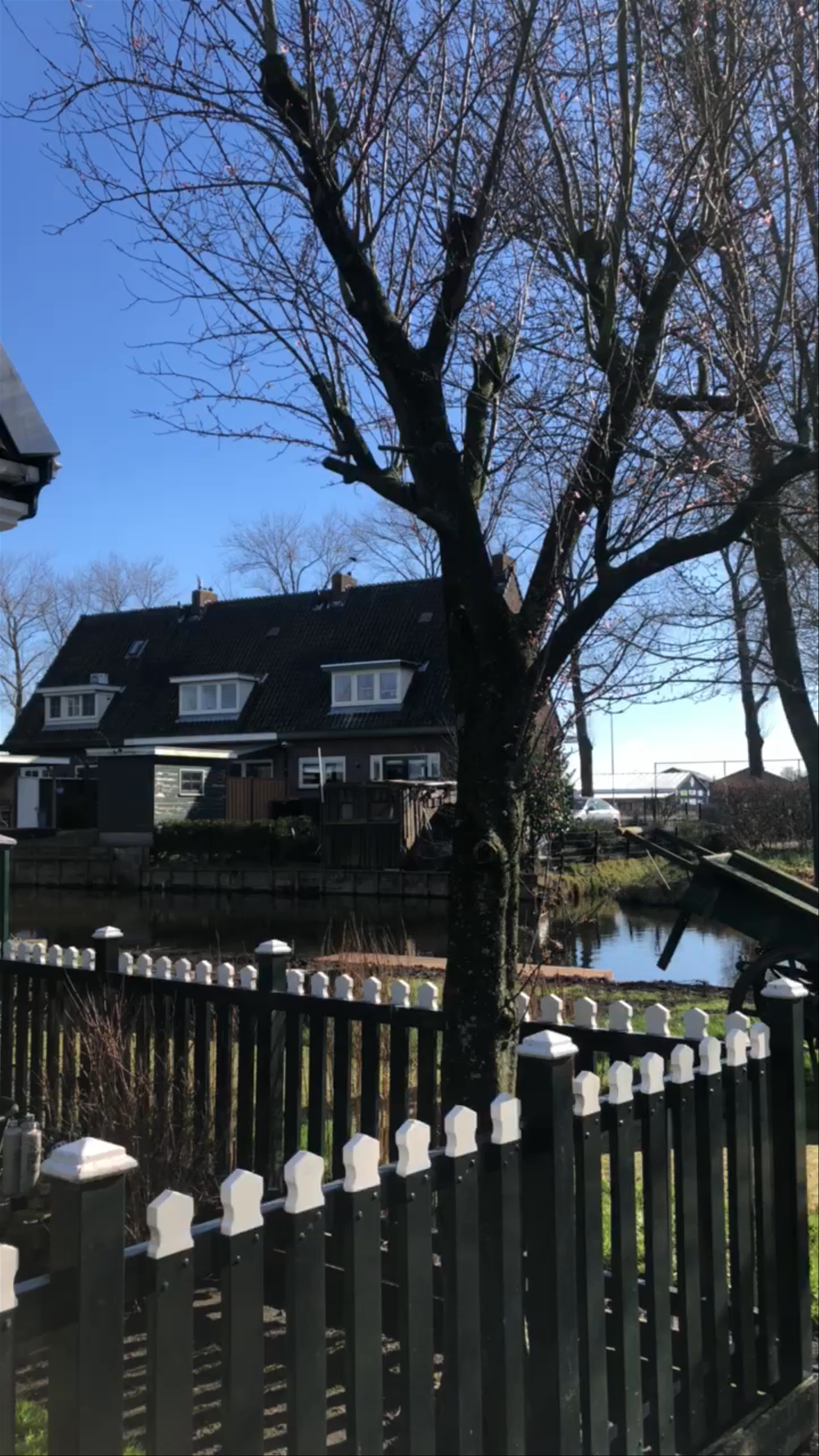 Zaanse Schans windmill