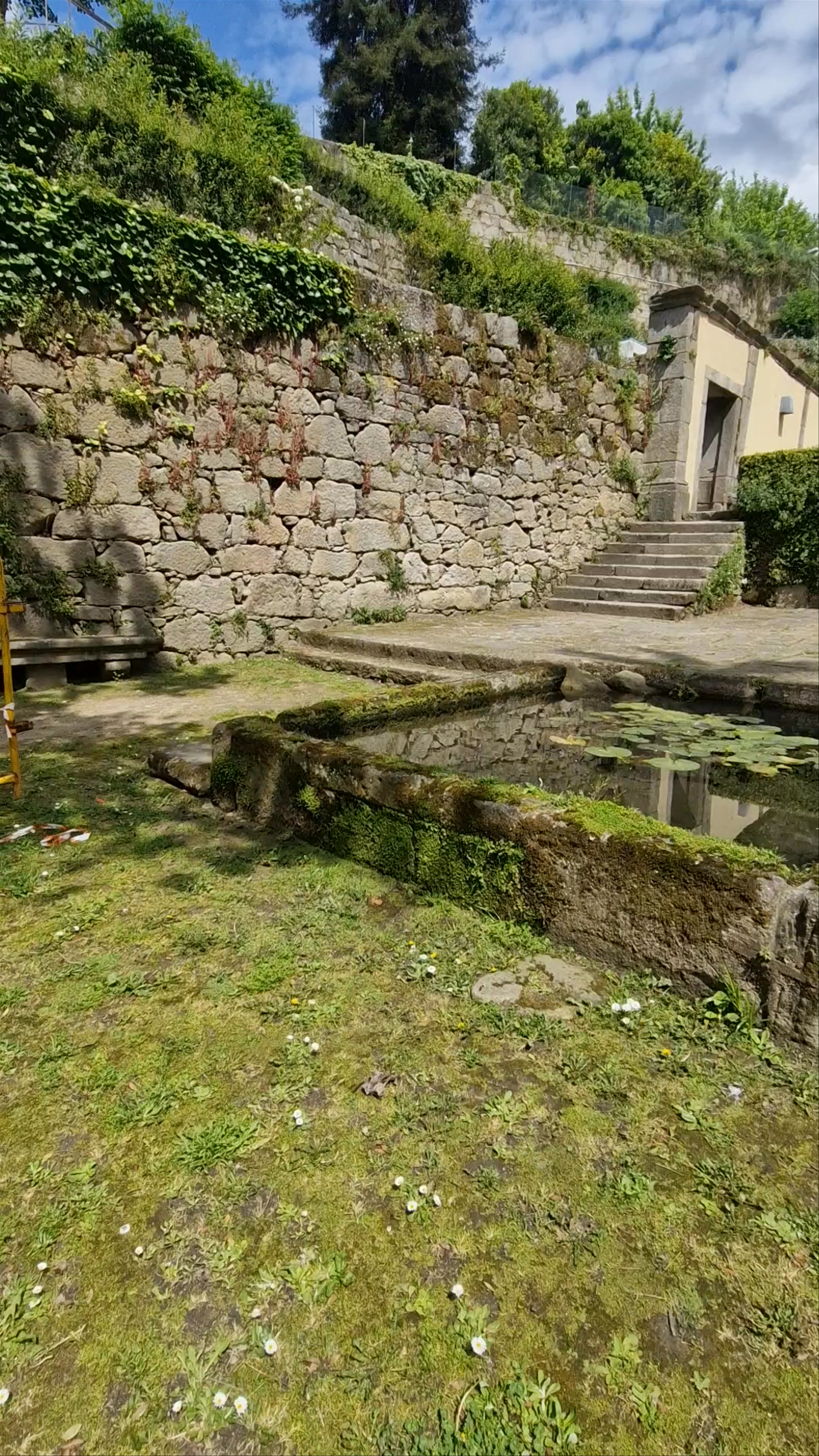 Serene Botanical Corner at Parque das Virtudes, Porto