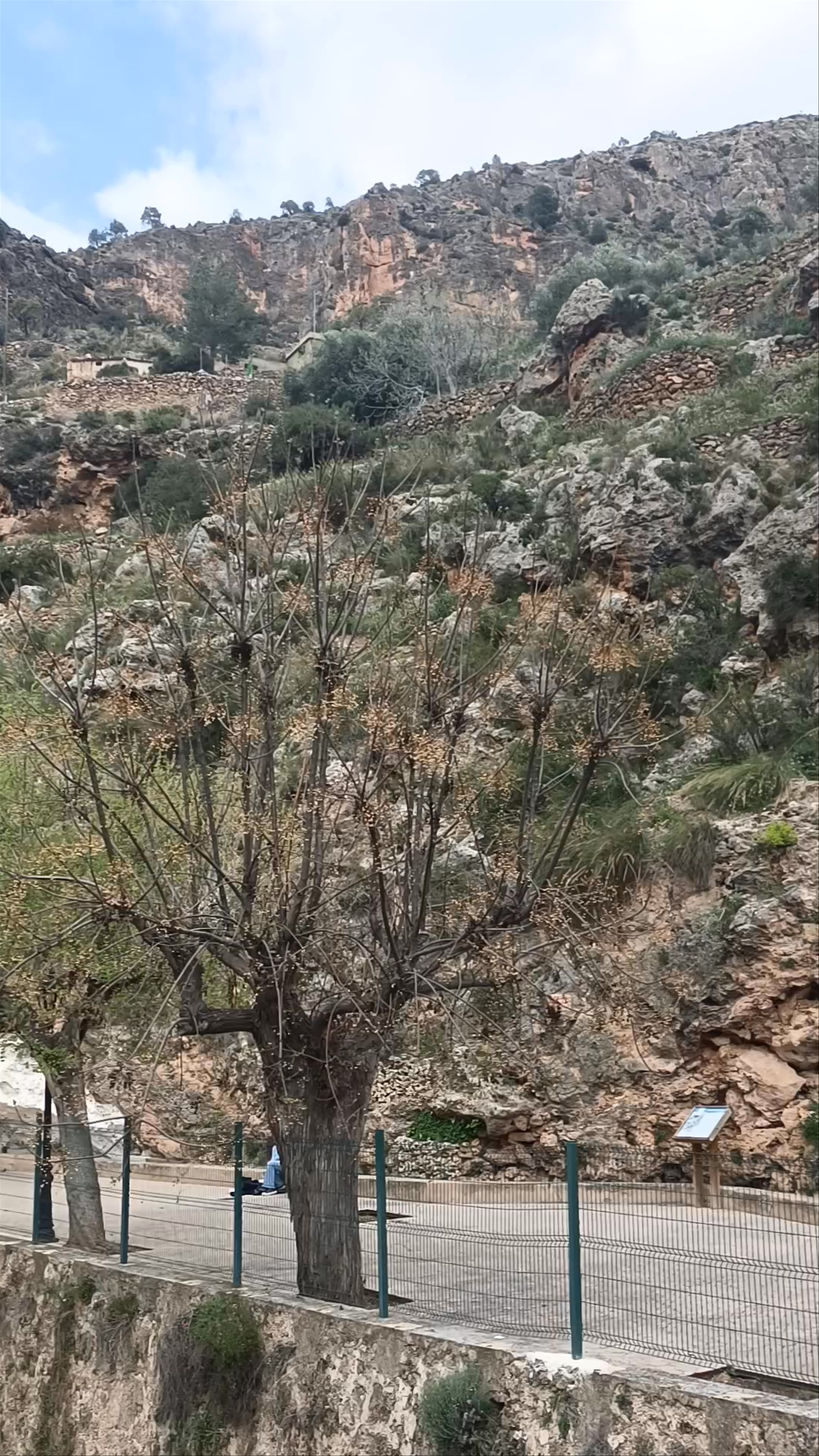 Rincón de la Toba: Peaceful Mountain Escape in Ayna, Spain