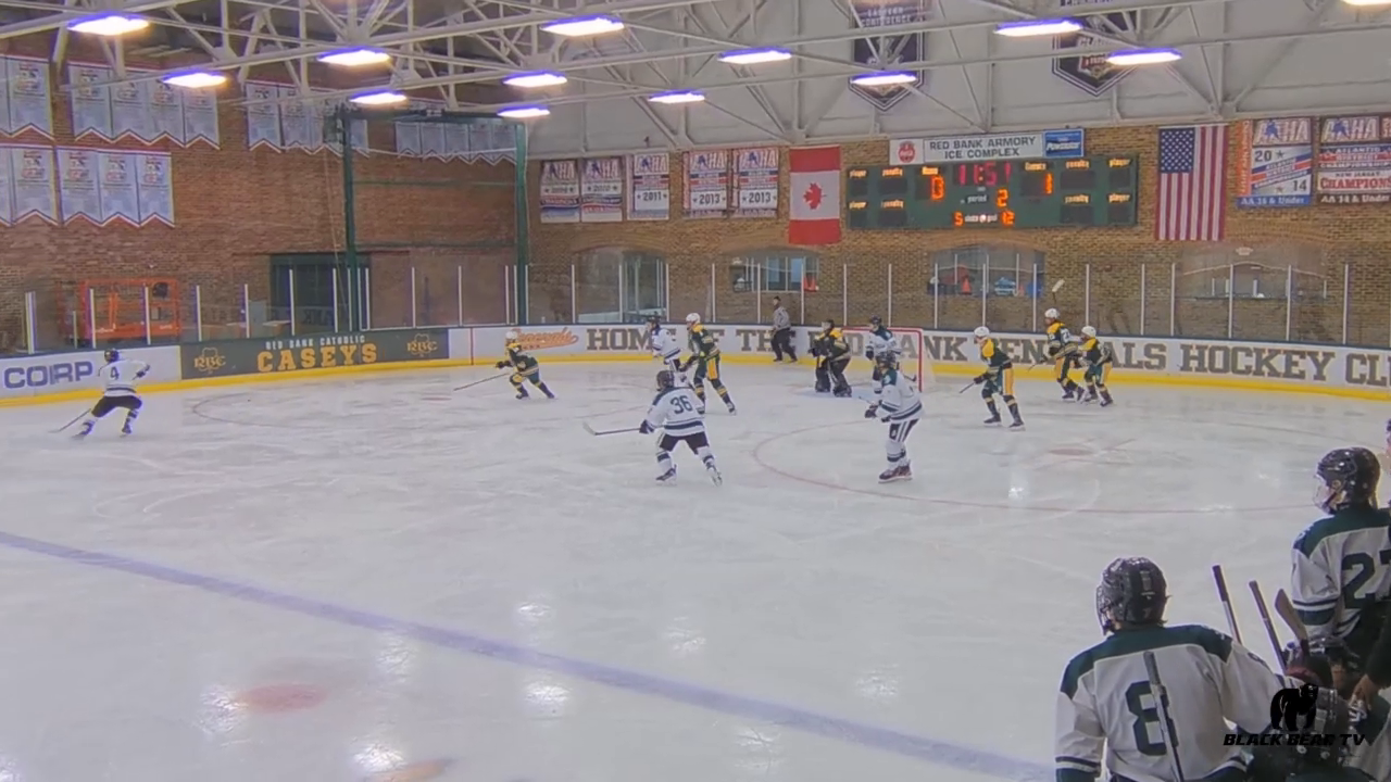 6 Save Flurry: No Glove, No Stick!