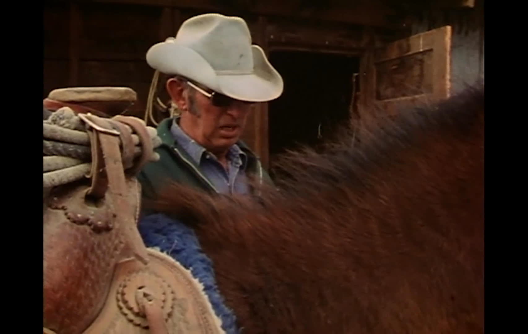 A rancher speaks beside a saddled horse in a rustic barn, describing cattle, calves, and trails associated with the 49ers. A large herd moves across dry, rolling hills along a broad ranch trail.