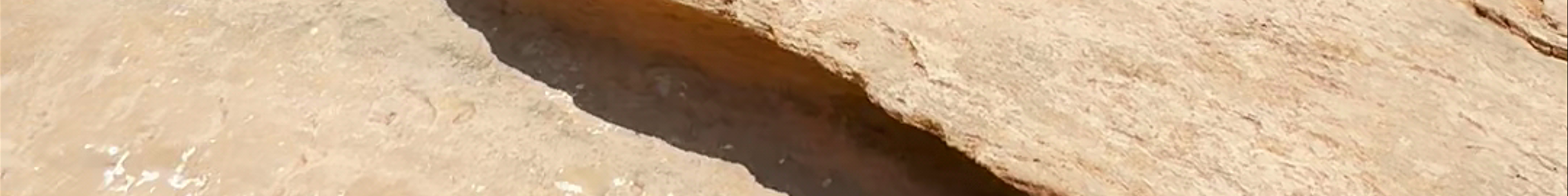Tours & experiences in Yemen