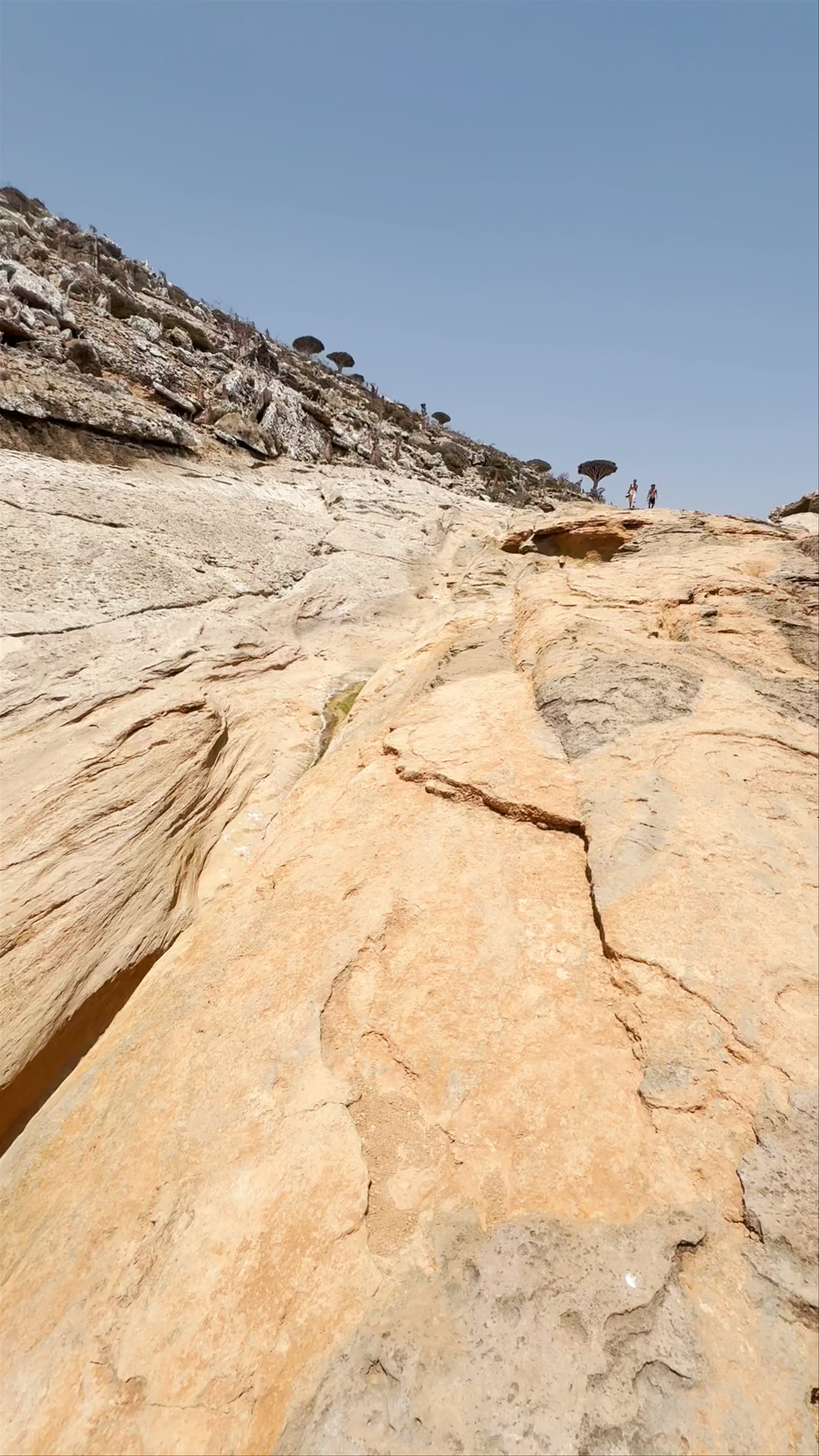 Eerk Natural Swimming Pool