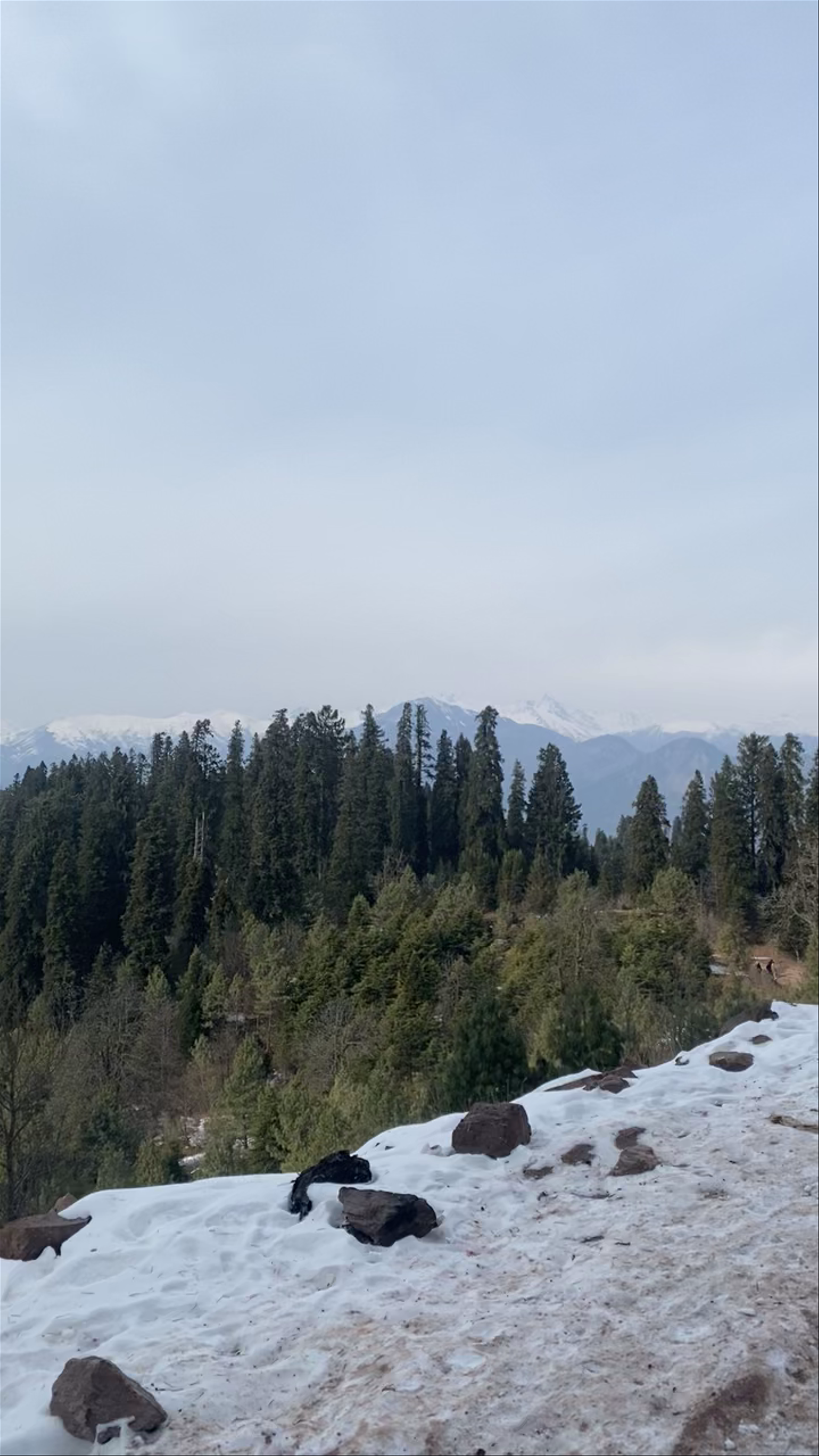 Malam Jabba Chair Lifts