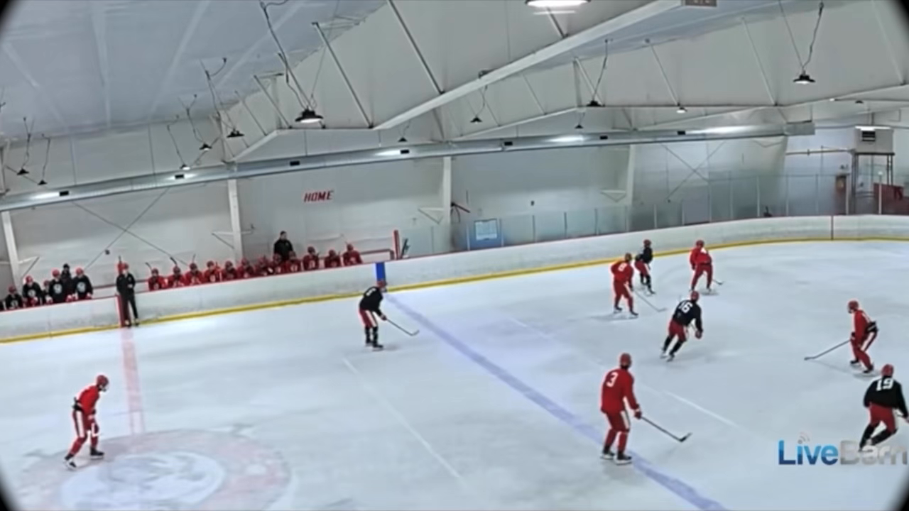 Declan McMahon Shines at Boston Dogs Training Camp: Highlight Goals